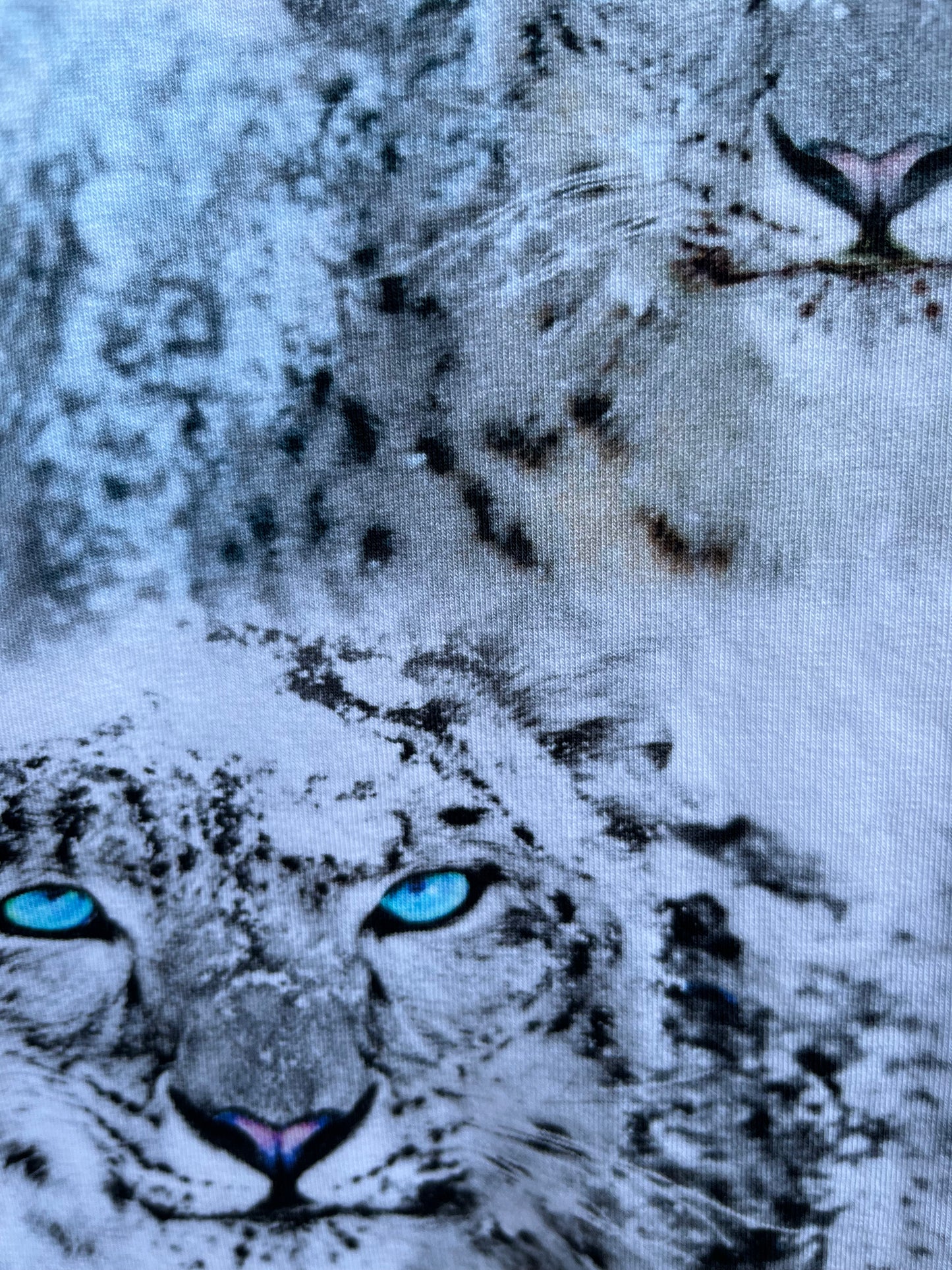 Snow leopards top 12-18m (80-86cm)