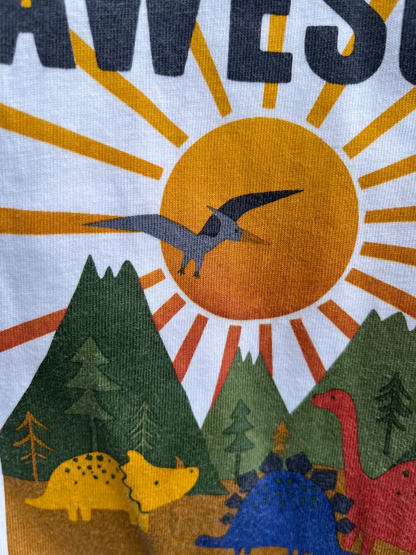 Dinosaurs top 6-9m (68-74cm)