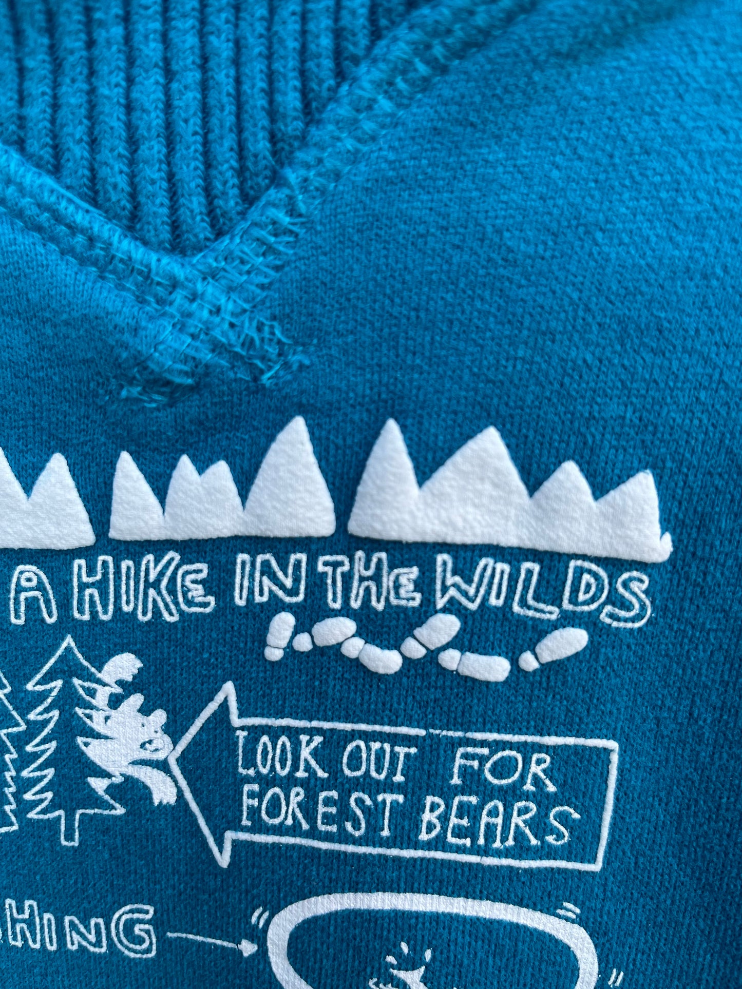 Blue sweatshirt 9m (74cm)