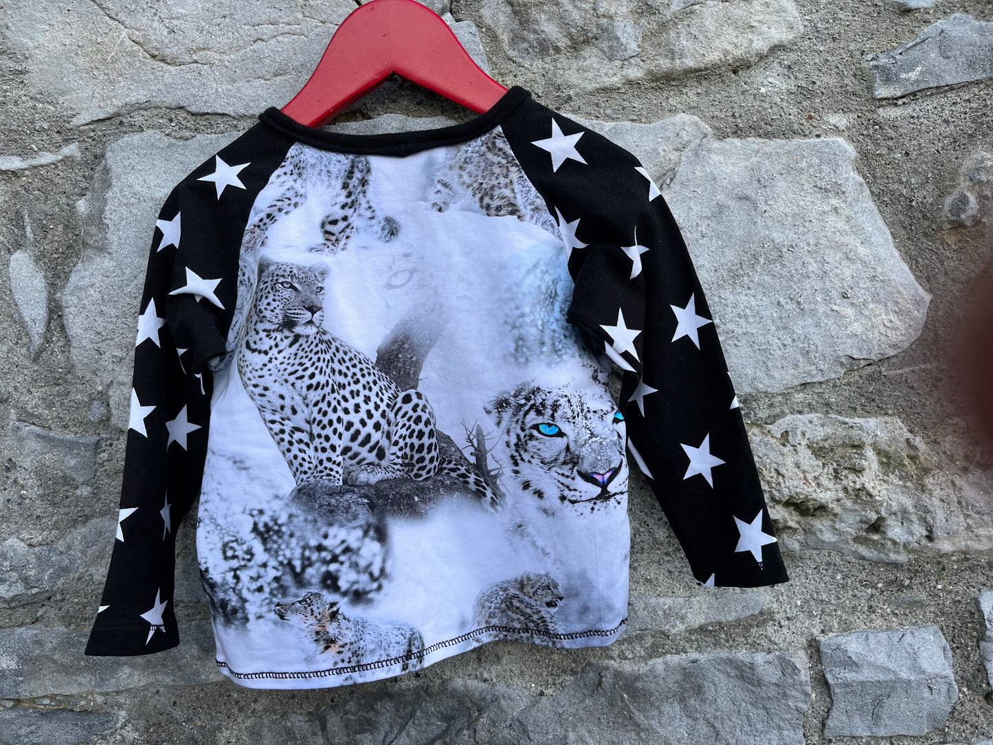Snow leopards top 12-18m (80-86cm)