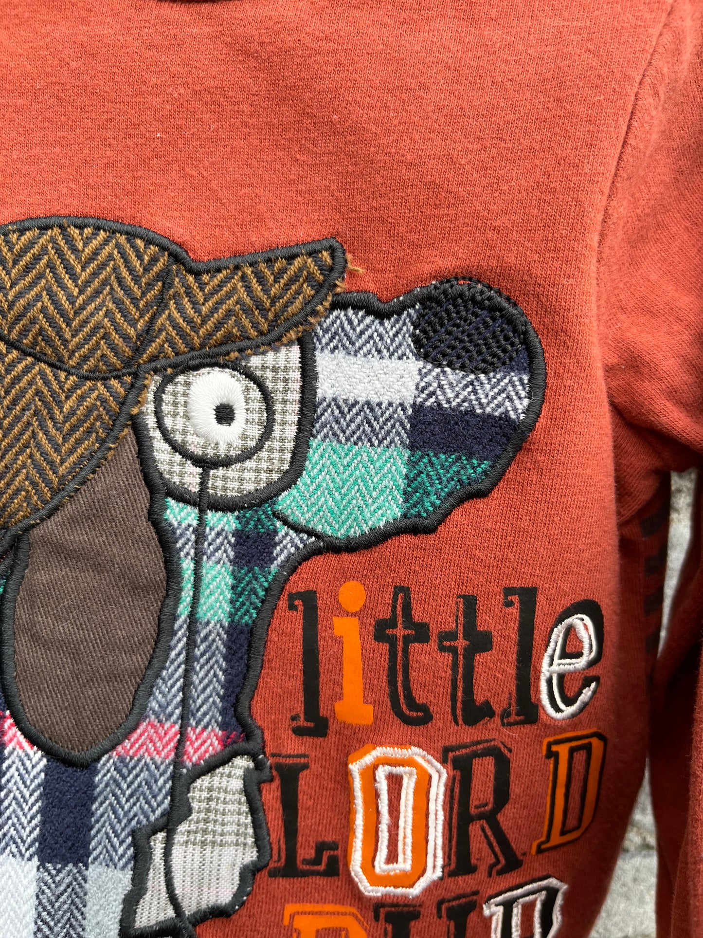 Dog detective top 3-6m (62-68cm)