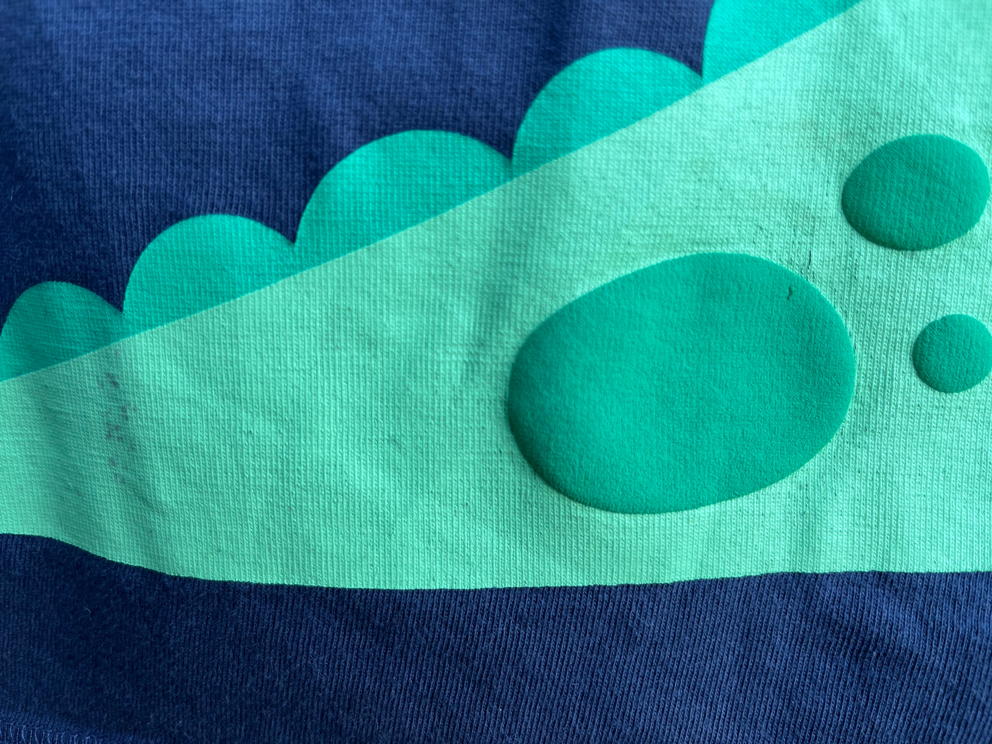 Dino Rocks T-shirt 9-12m (74-80cm)