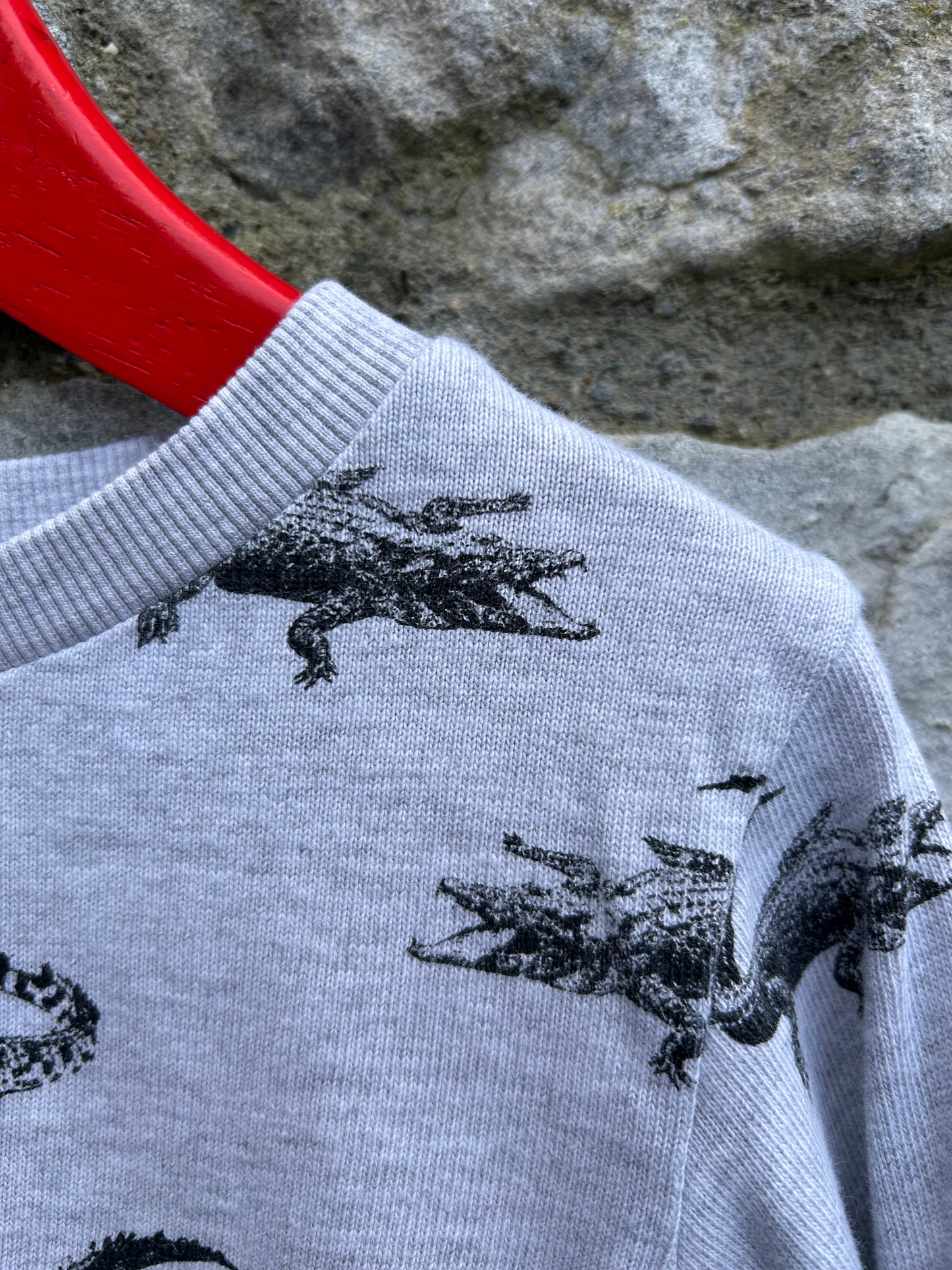 Crocodiles grey sweatshirt  3-4y (98-104cm)
