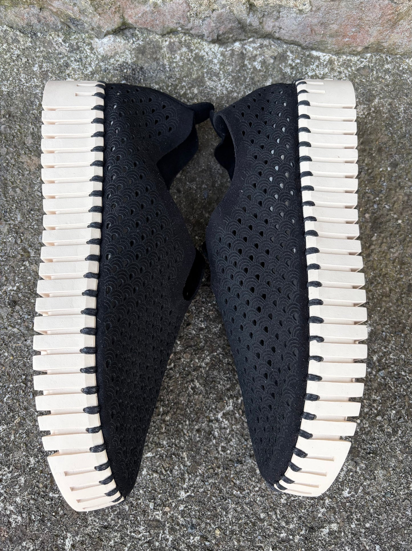 Black tulip trainers  uk 7 (eu 41)