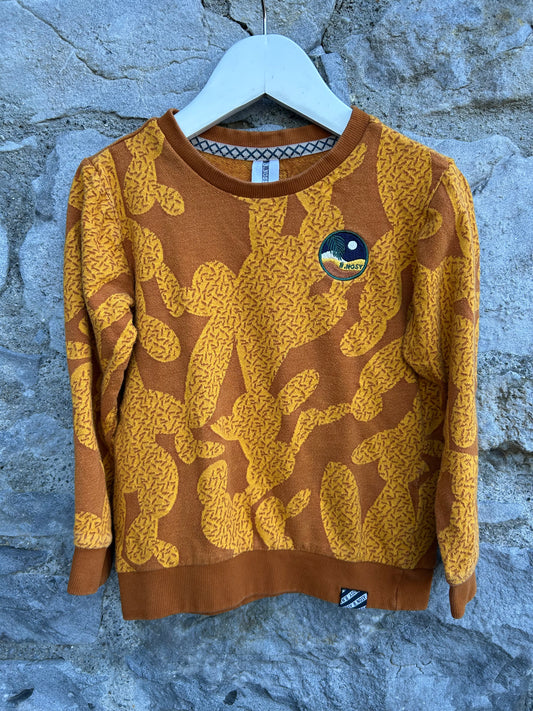 Brown sweatshirt  5-6y (110-116cm)