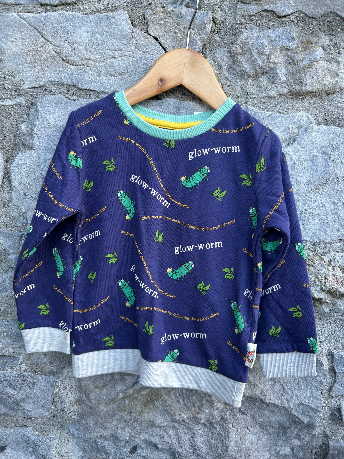 R.Dahl Glow Worm Sweatshirt  2-3y (92-98cm)