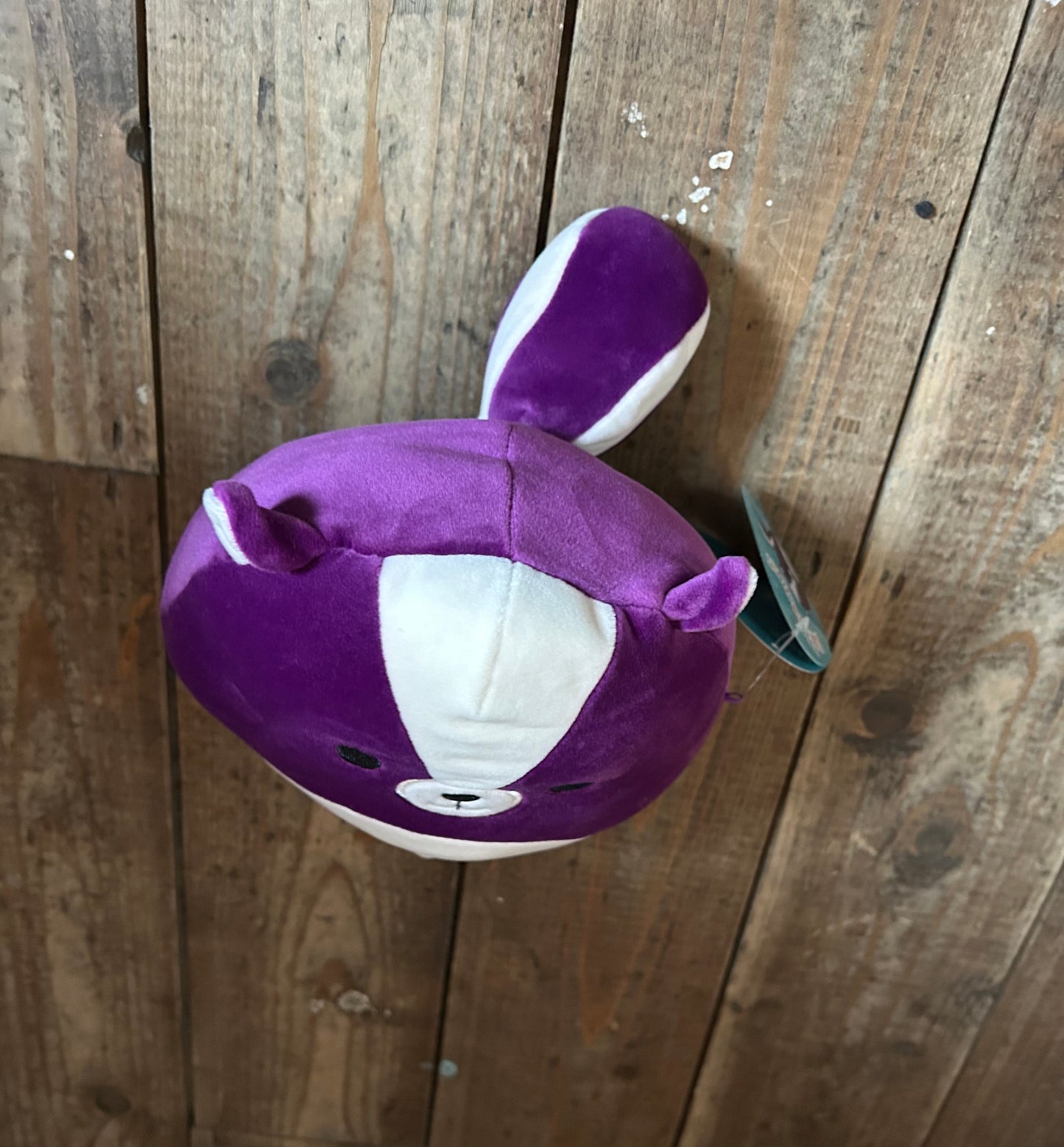 Skunk Sloan soft toy