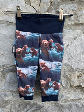 Load image into Gallery viewer, Grizzly reversible pants   3-6m (62-68cm)
