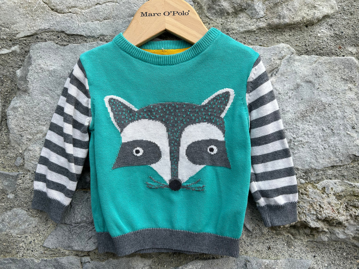 Raccoon jumper    6-9m (68-74cm)