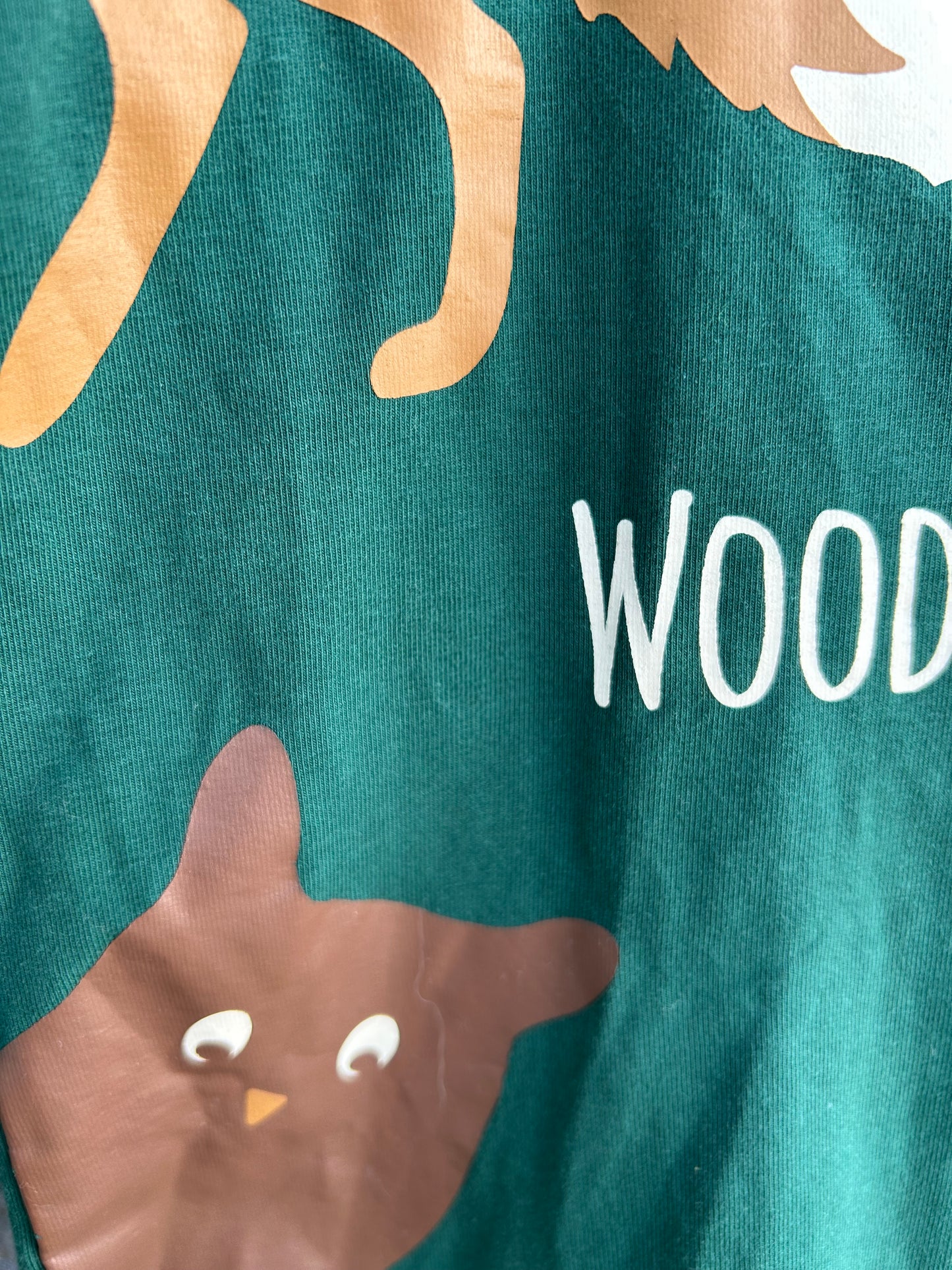 Wood Friends green top  4-5y (104-110cm)