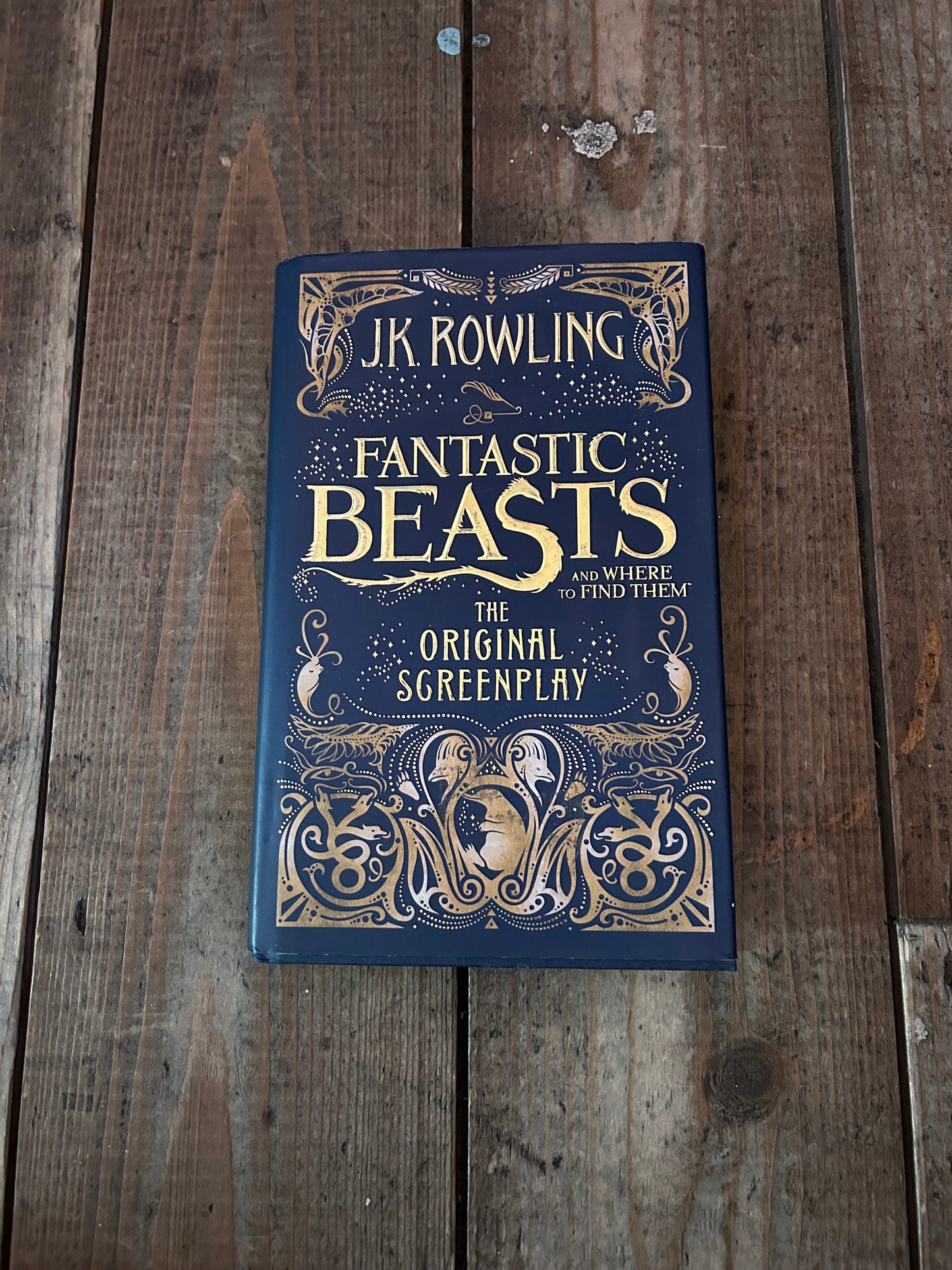 Fantastic beast the original screenplay by JK Rowling