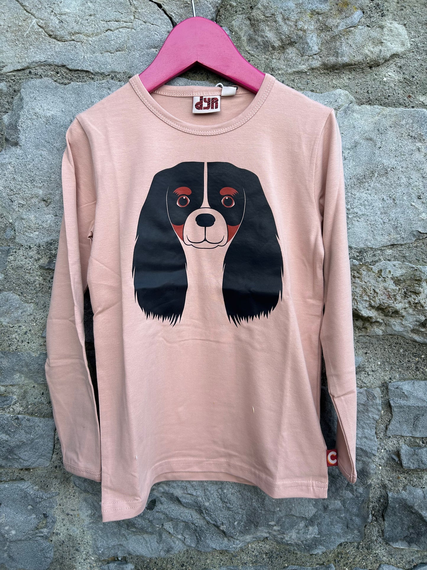 Powder Rose CAVALIER top 5y (110cm)