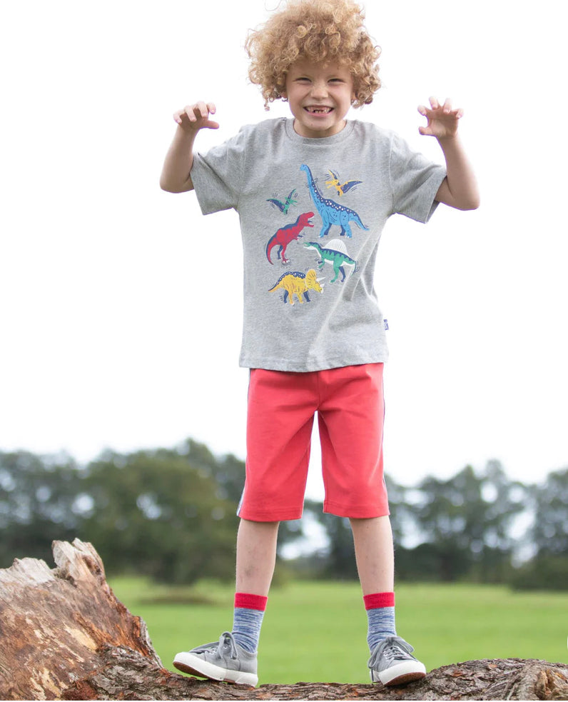 Dinosaur Stomp grey T-Shirt  10-11y (140-146cm)