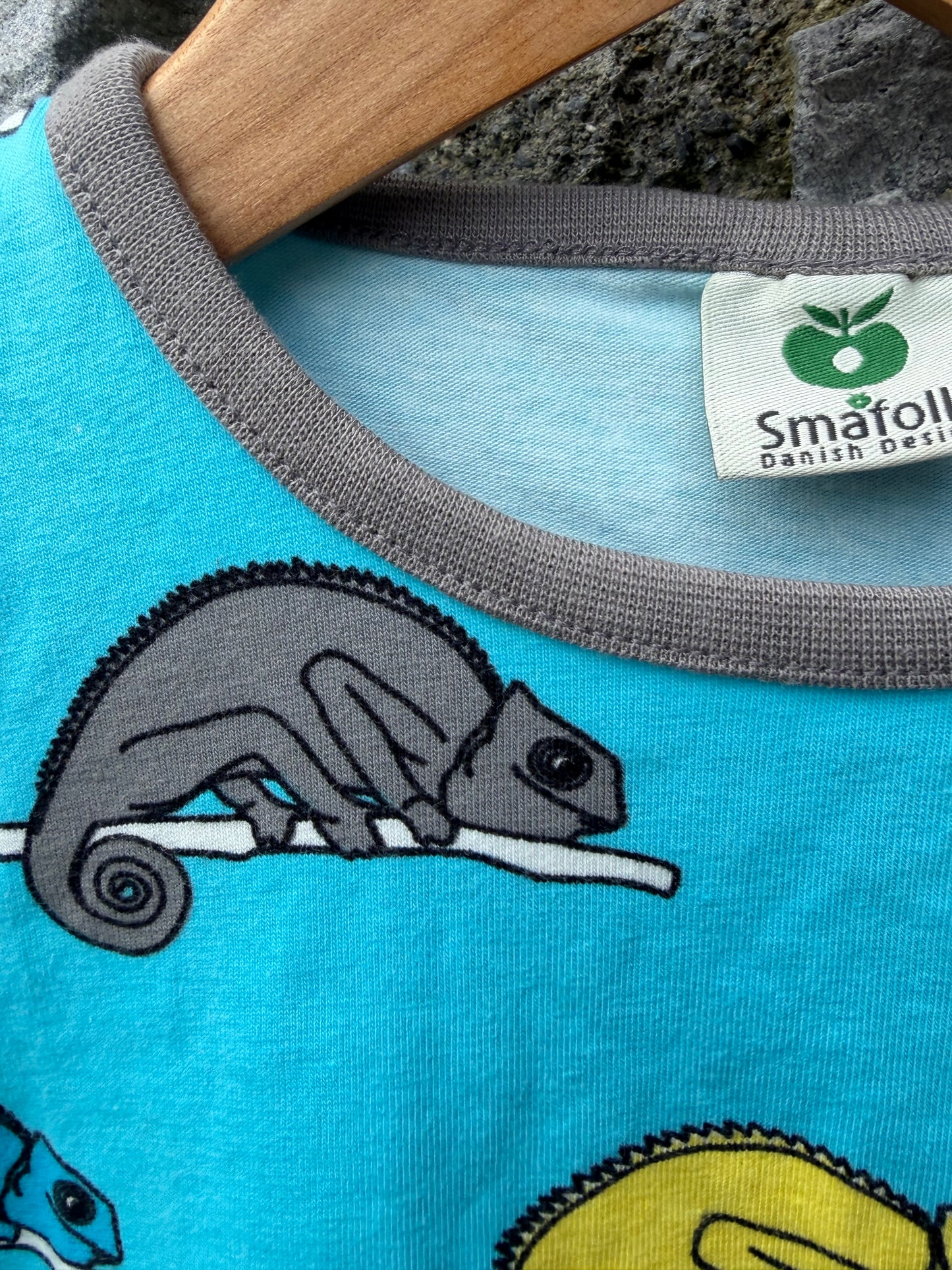Chameleon Blue T-shirt 4-5y (104-110m)