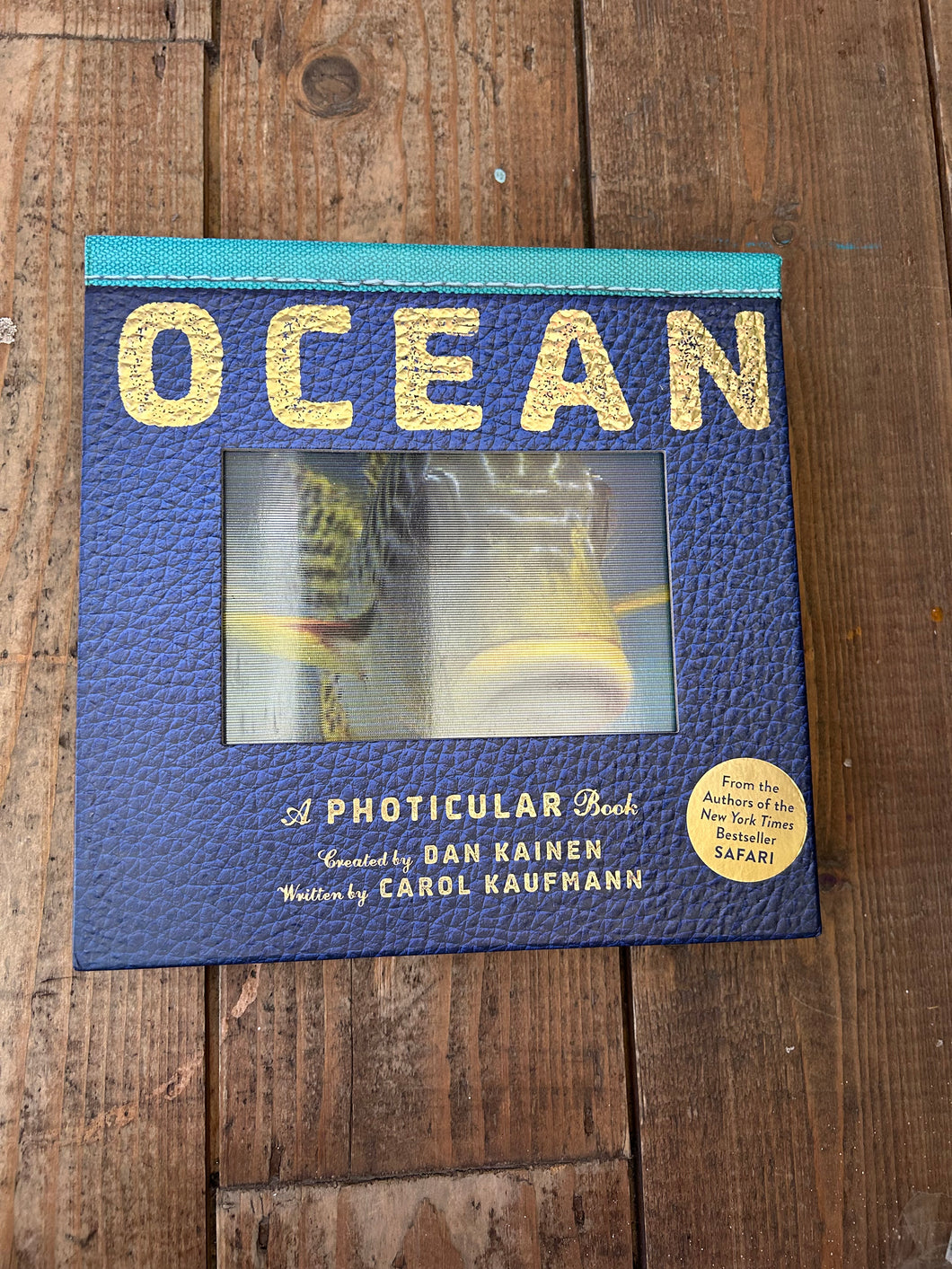 Ocean: A Photicular Book by Dan Kainen