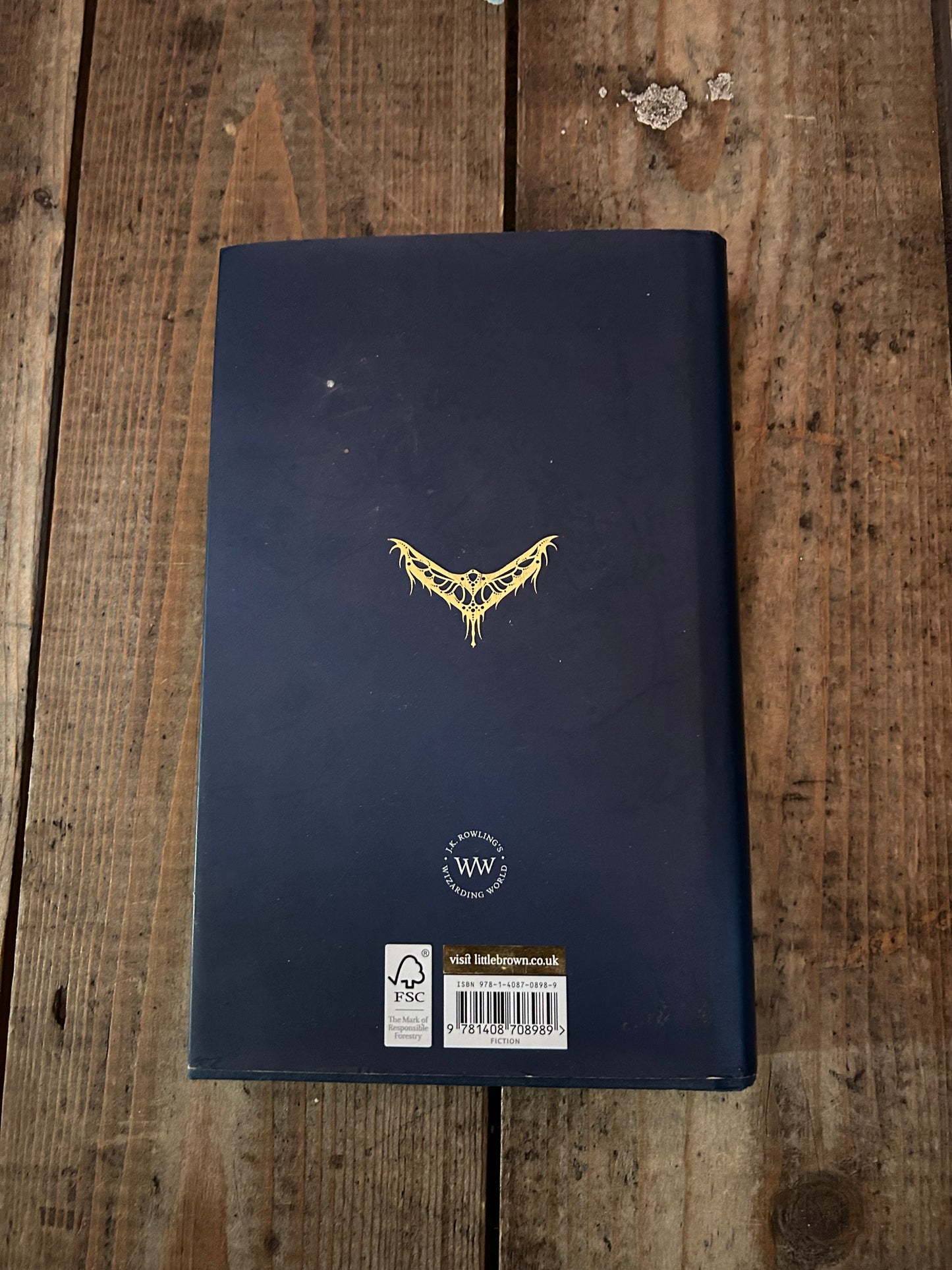 Fantastic beast the original screenplay by JK Rowling