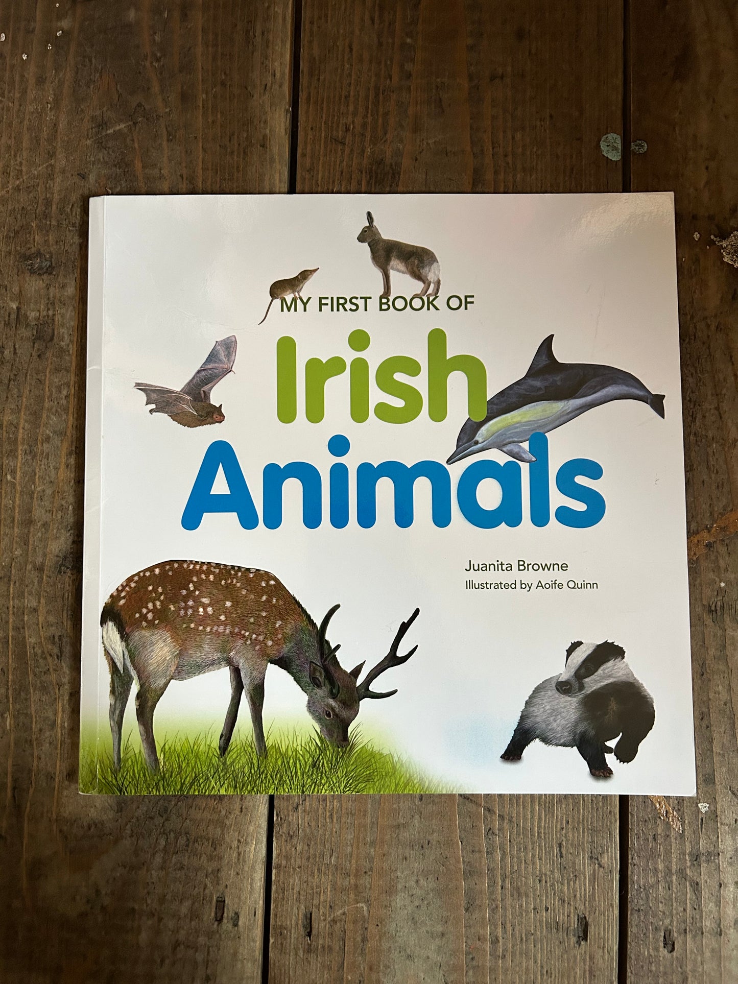 My first book of Irish animals