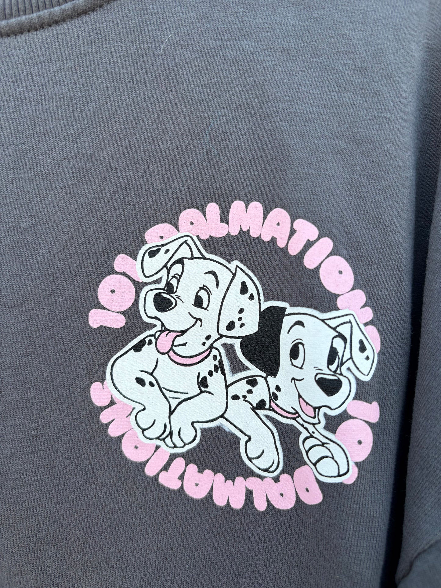 101 Dalmatians grey sweatshirt  3-4y (98-104cm)