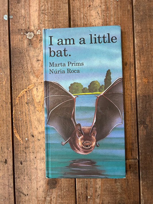 I am a little bat by Marta Prims