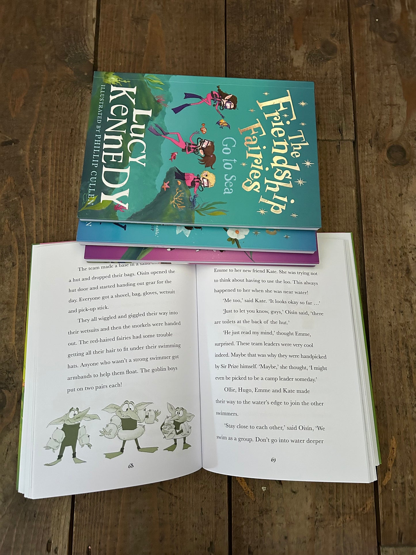 The friendship fairies set of 4