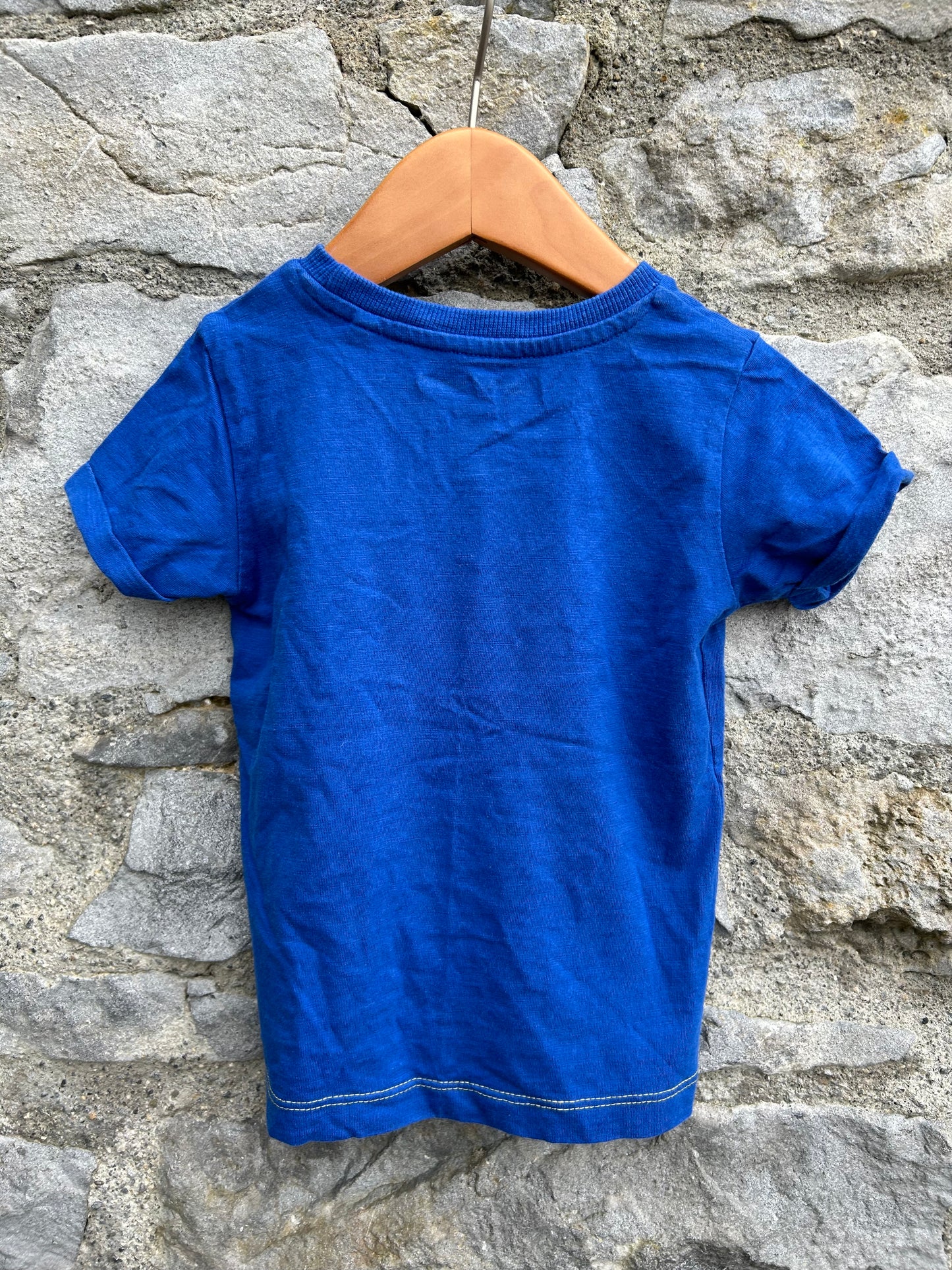 Sea gull blue T-shirt  9-12m (74-80cm)