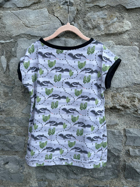 Anteater grey tunic  5-6y (110-116cm)