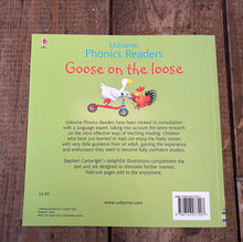 Load image into Gallery viewer, Usborne phonics readers set
