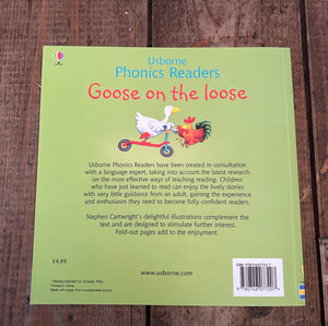 Usborne phonics readers set