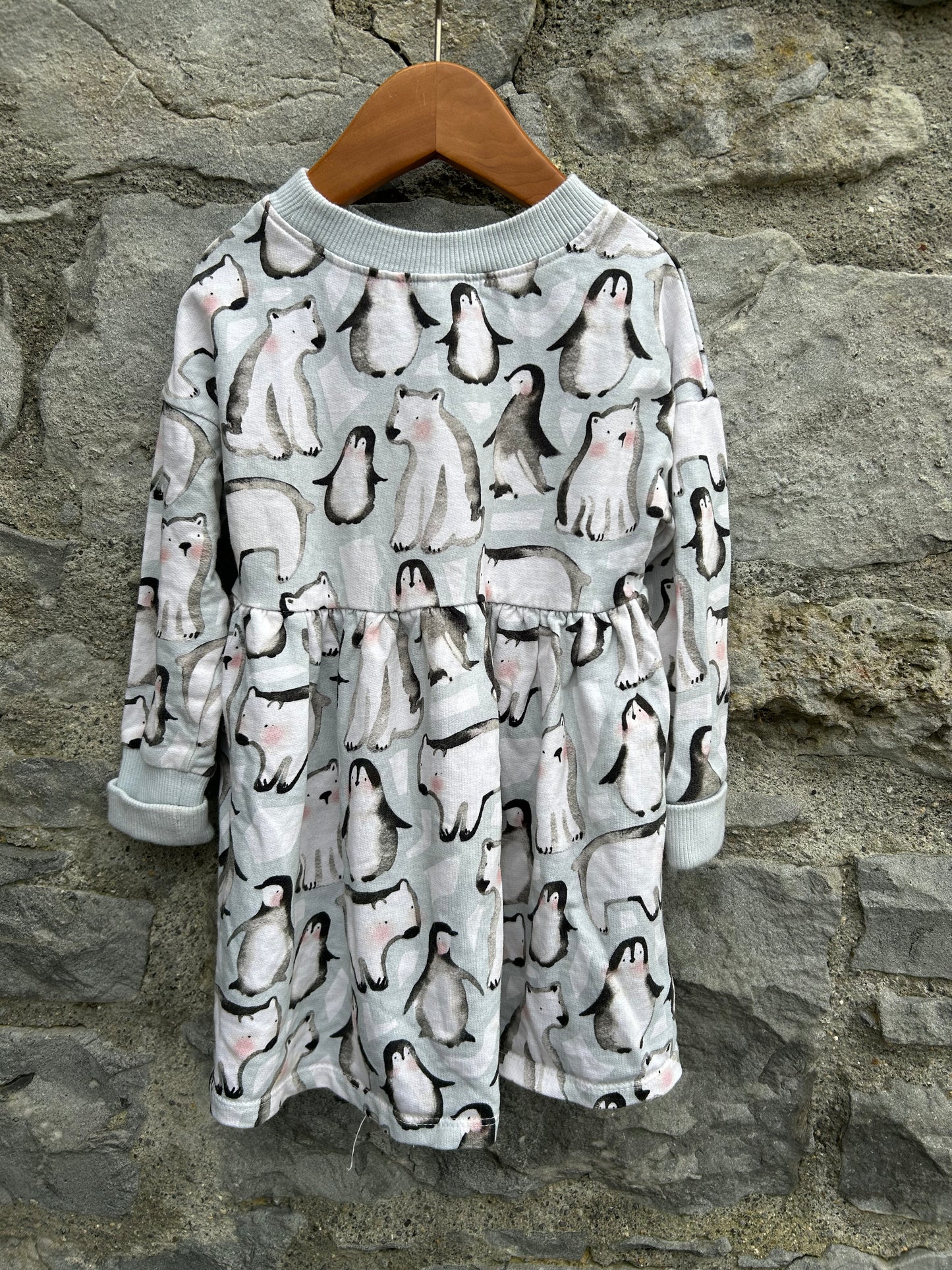 Arctic animals icy blue dress  2-3y (92-98cm)