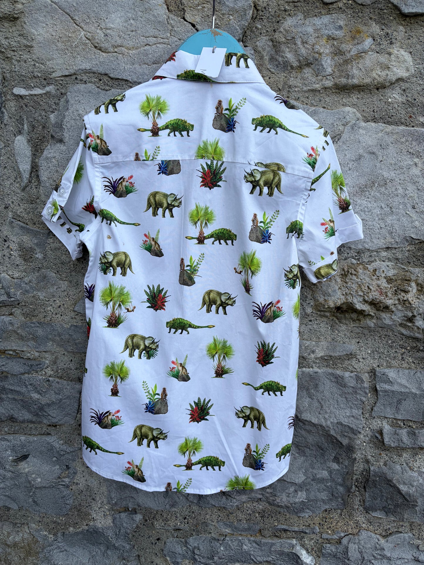 Dinosaurs white shirt  8y (128cm)