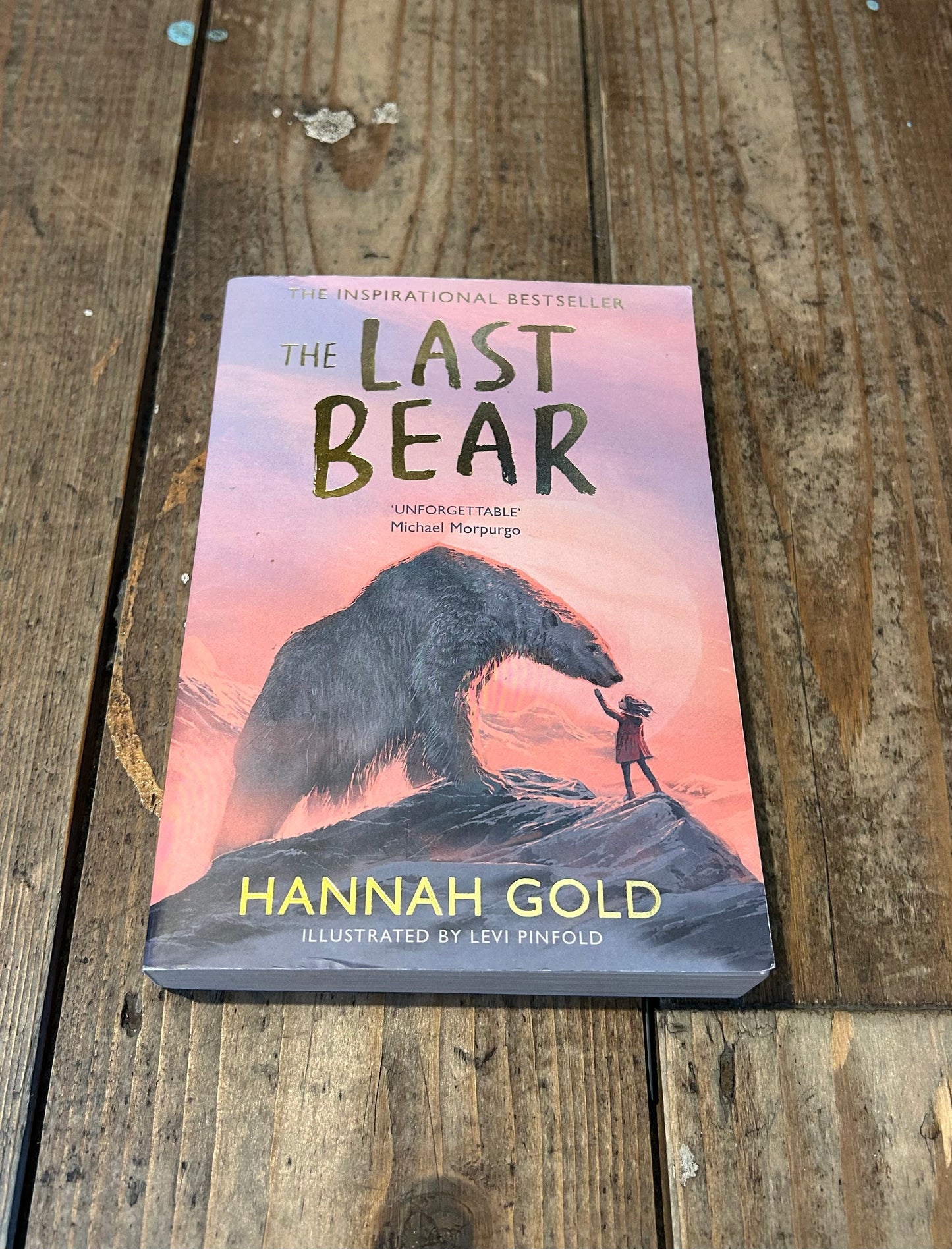 The last bear by Hannah Gold