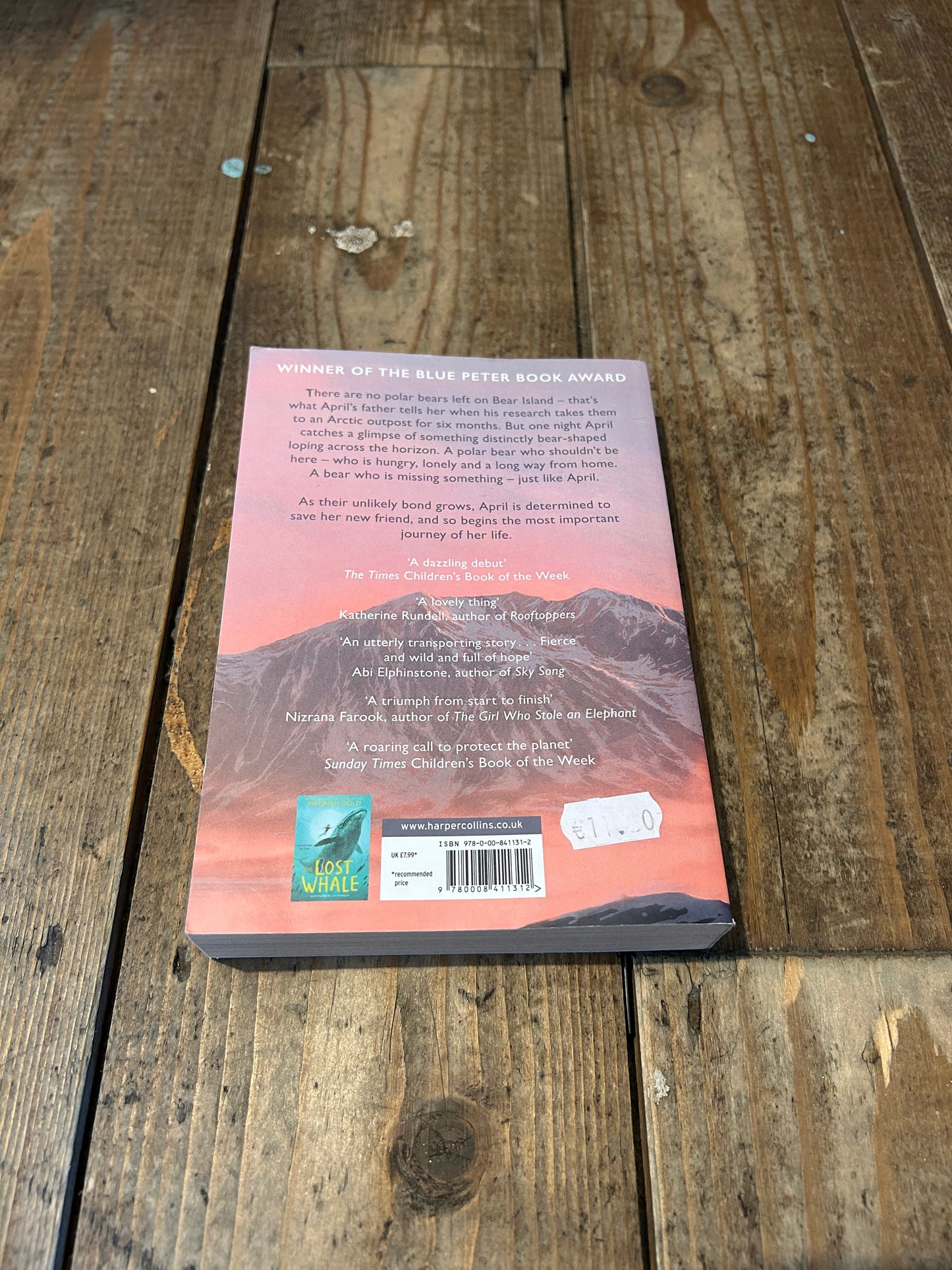 The last bear by Hannah Gold