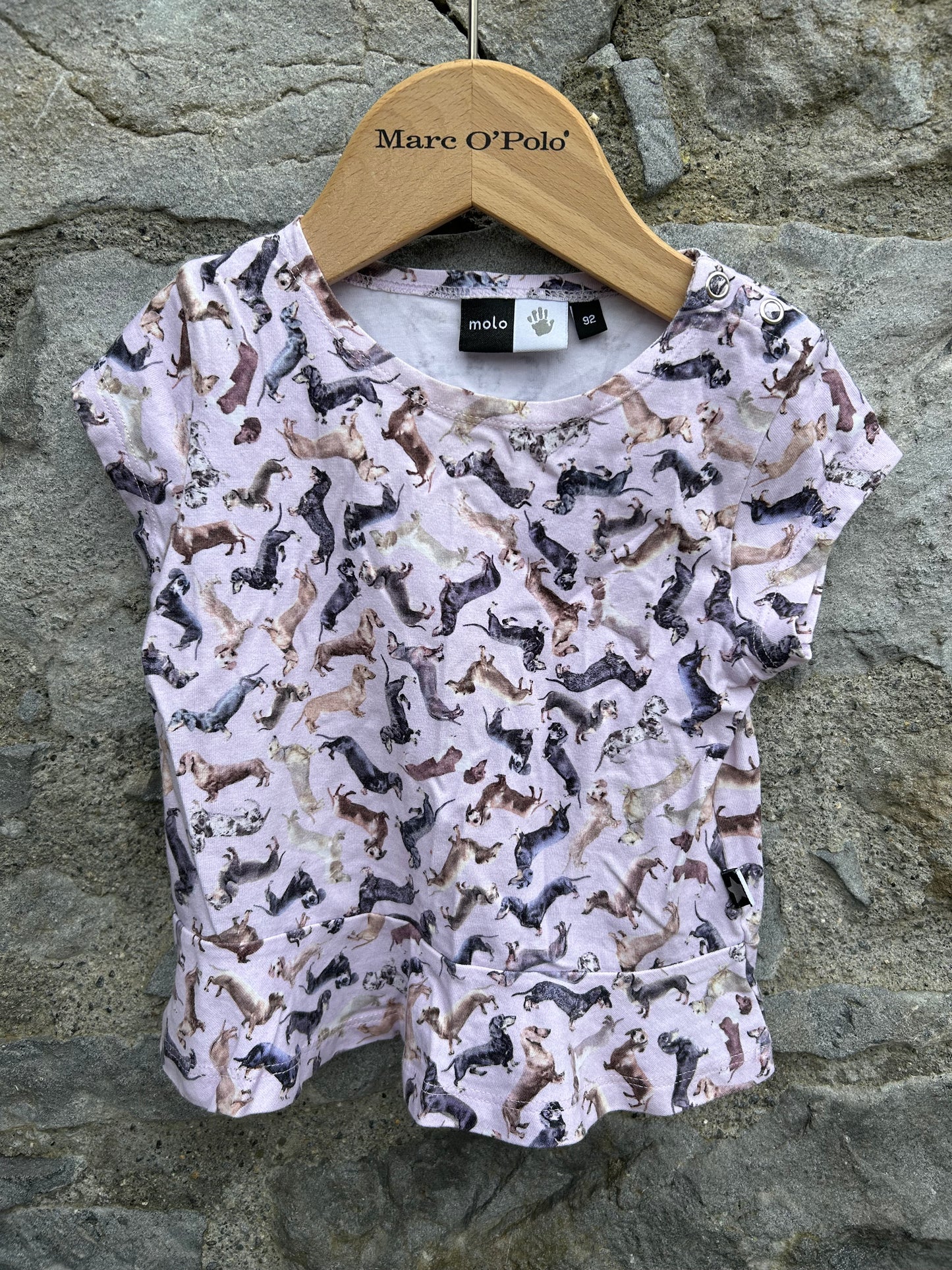 Dachshund beige t-shirt  18-24m (86-92cm)