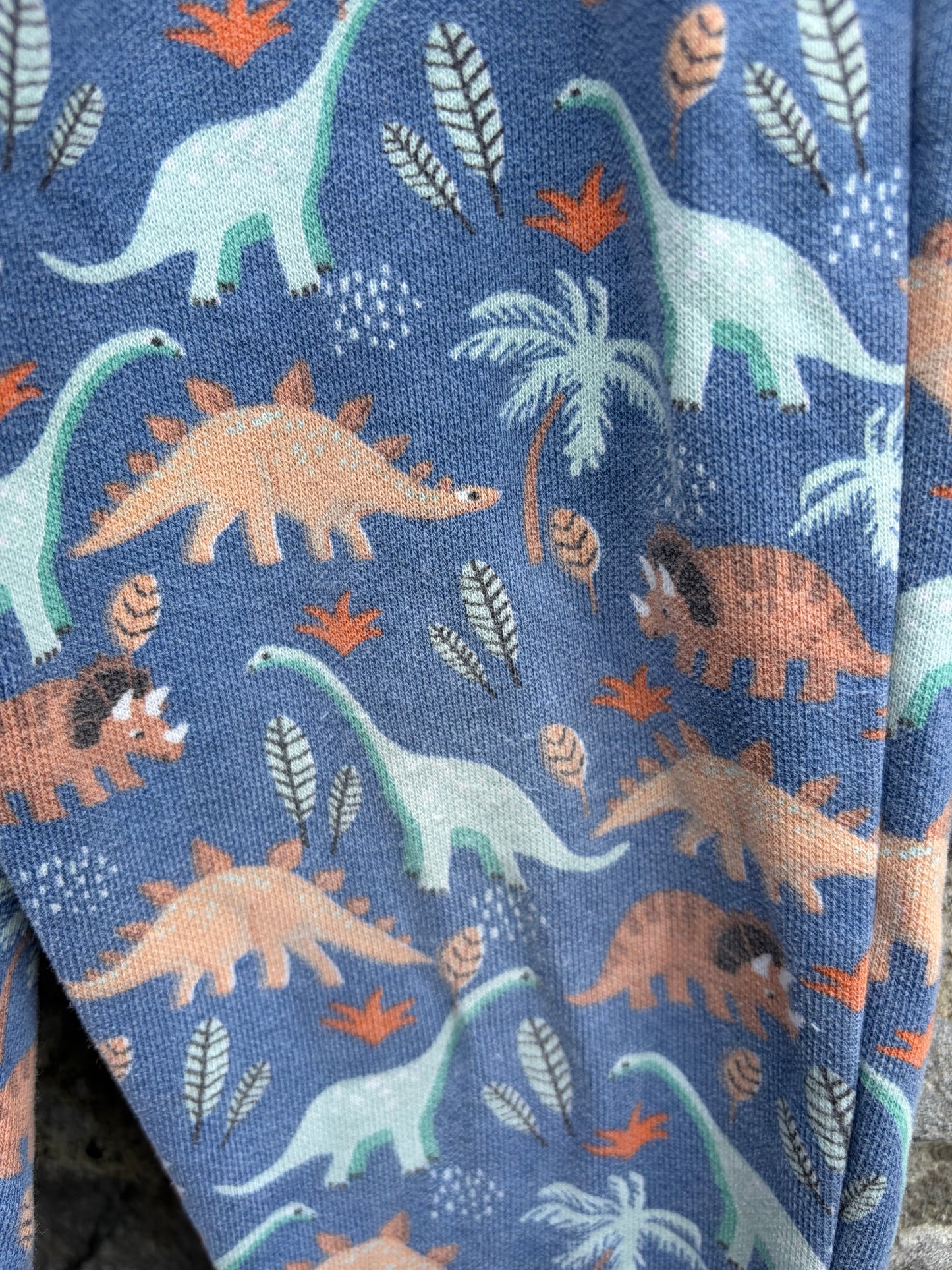 Dinosaurs blue sweat pants  3-4y (98-104cm)