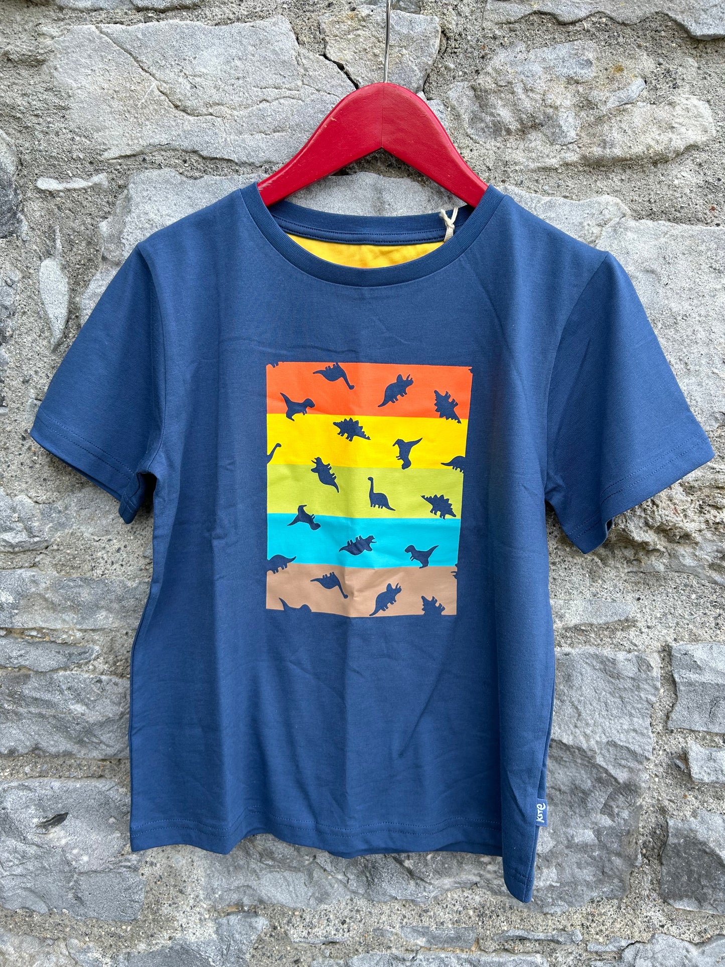 Dinosaurs dot navy T-shirt  9y (134cm)