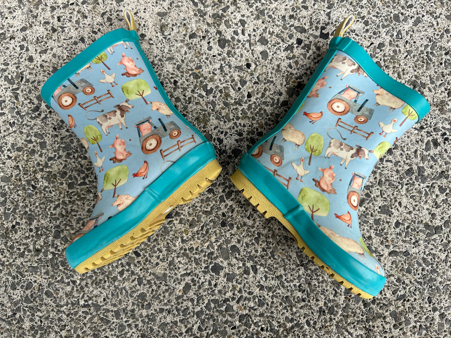 Blue farm wellies   uk 5 (eu 21)