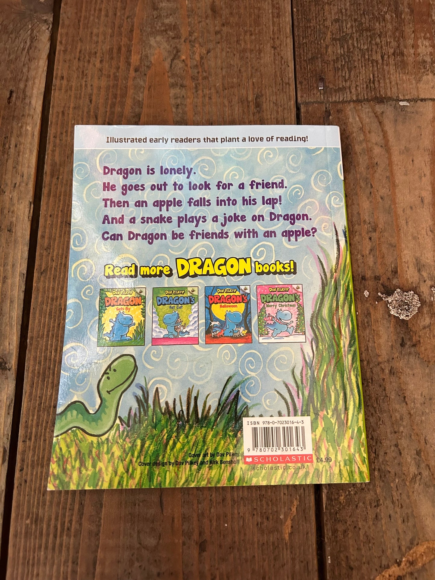 A friend for dragon