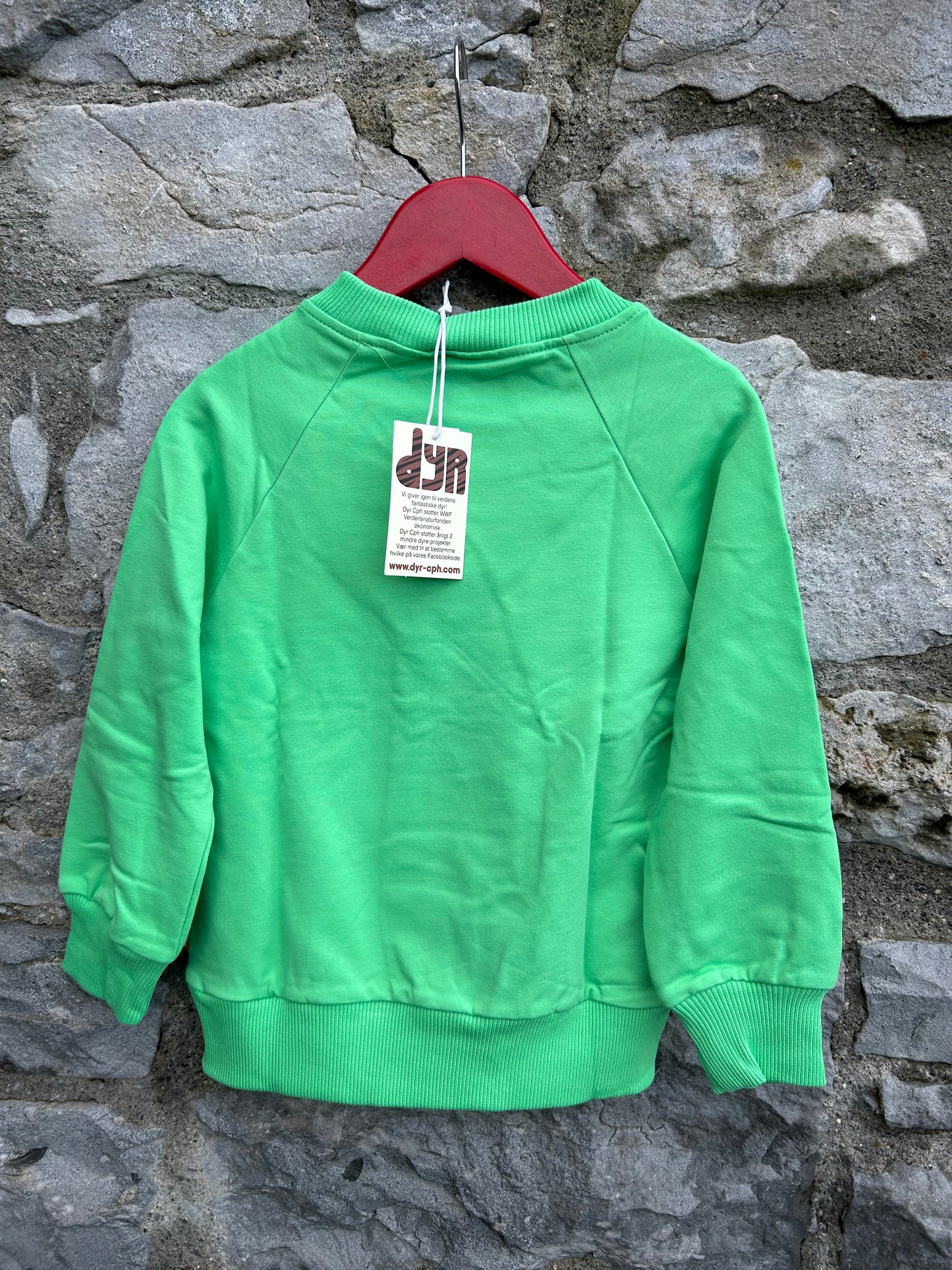 Lemur green sweatshirt  4y (104cm)