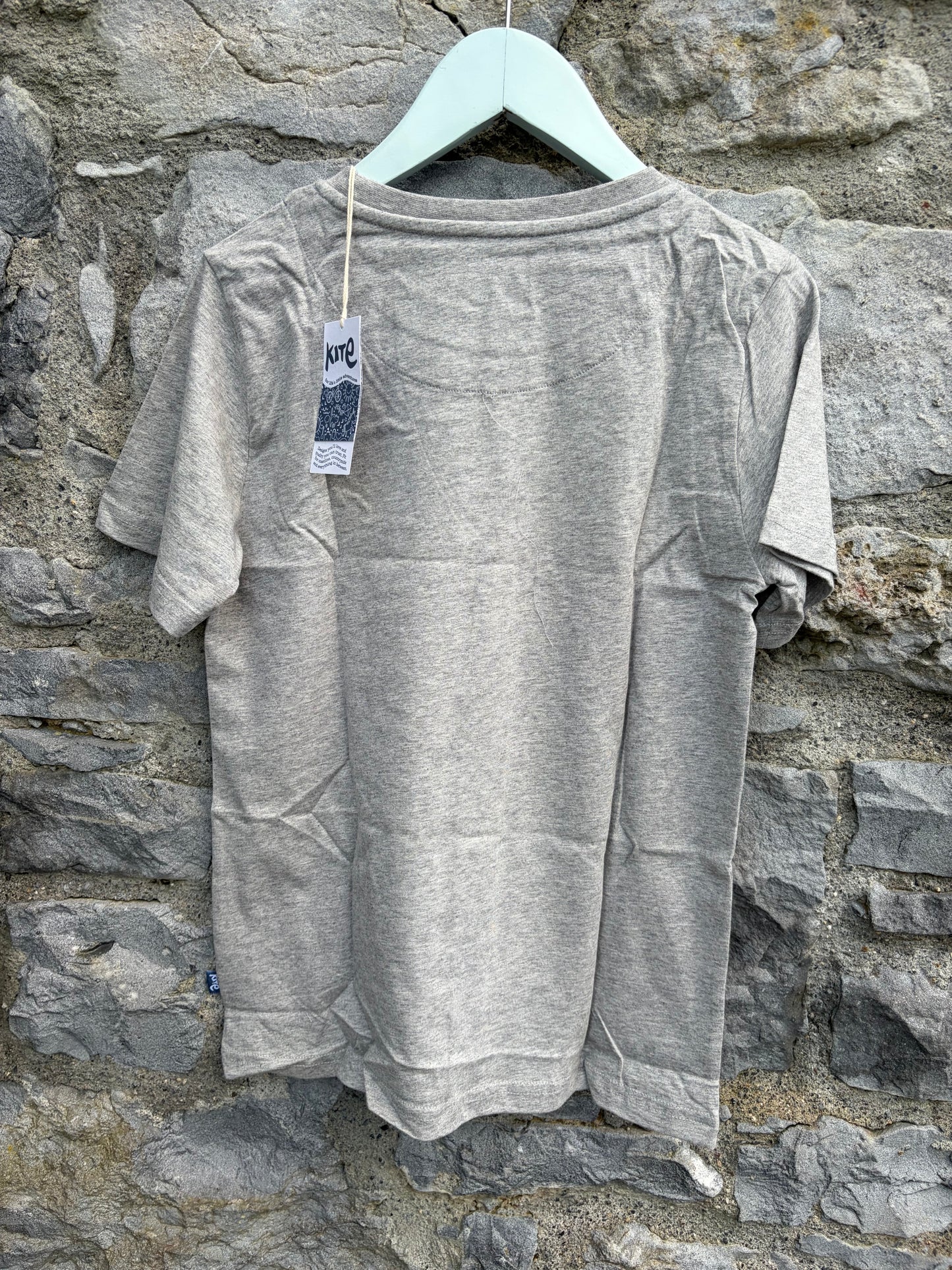 Dinosaur Stomp grey T-Shirt  10-11y (140-146cm)