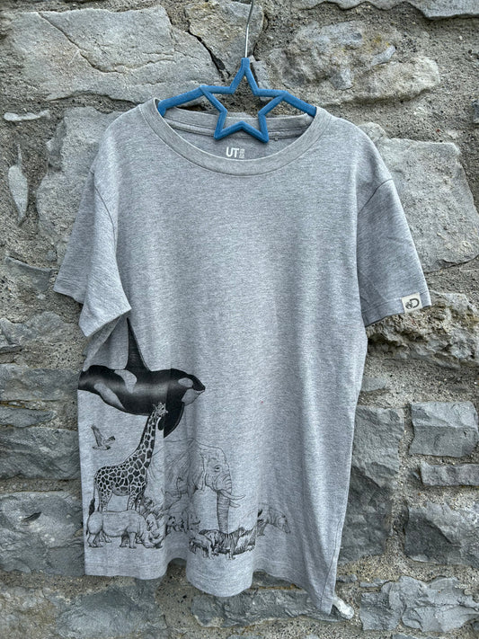 Animals grey T-shirt 11-12y (146-152cm)