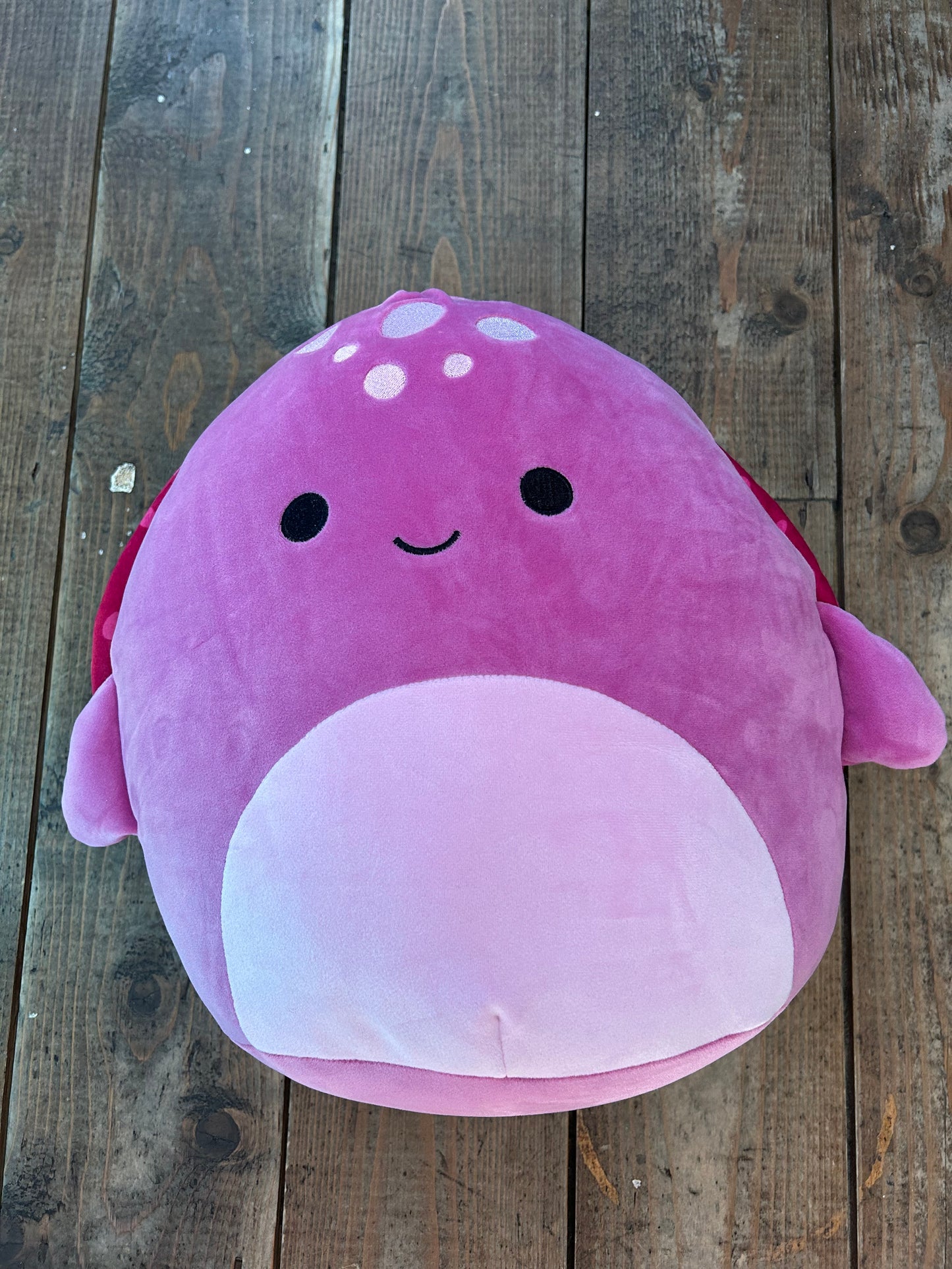 Tudor the purple turtle squishy