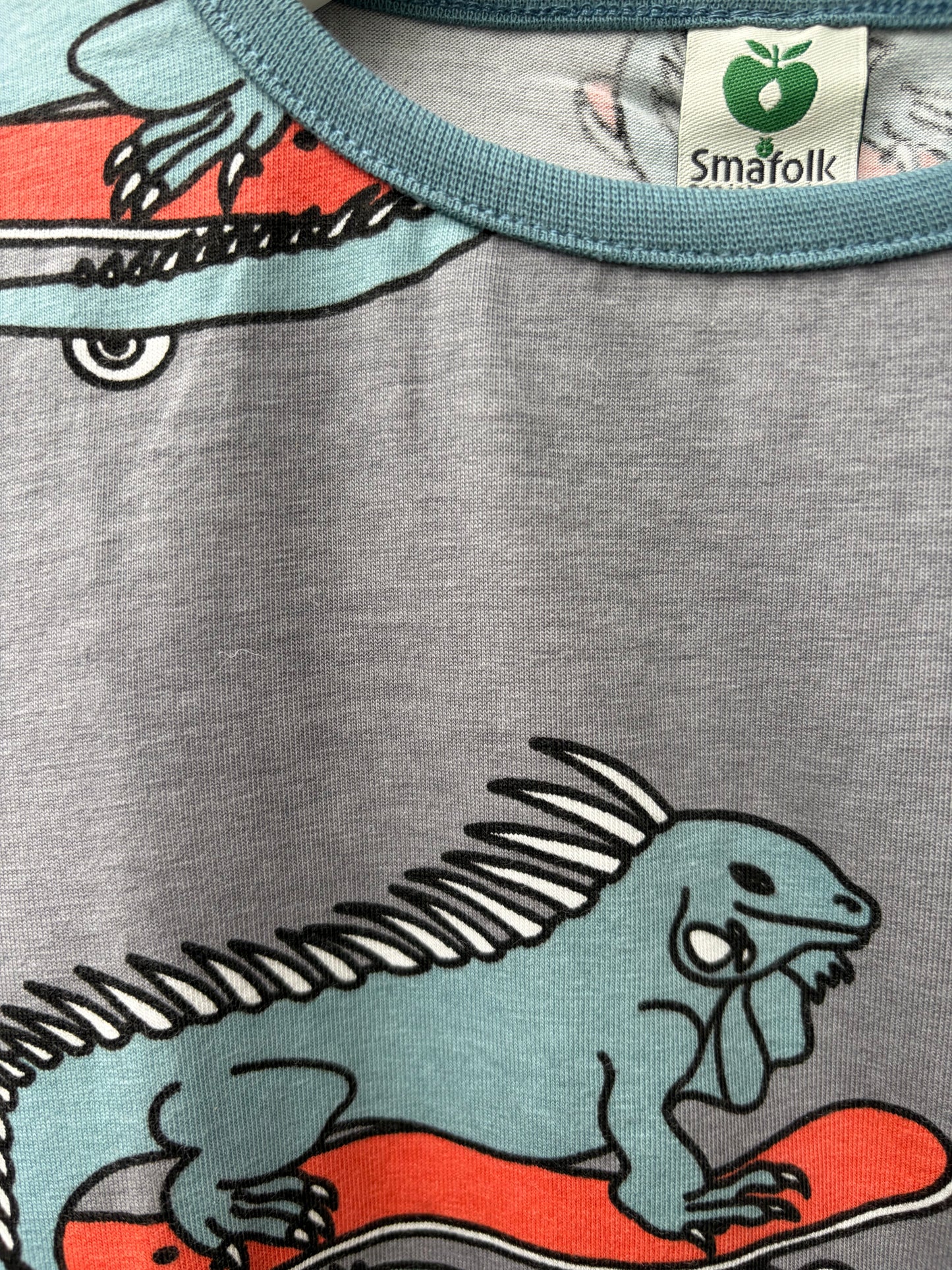 Iguana on skateboards grey top  3-4y (98-104cm)