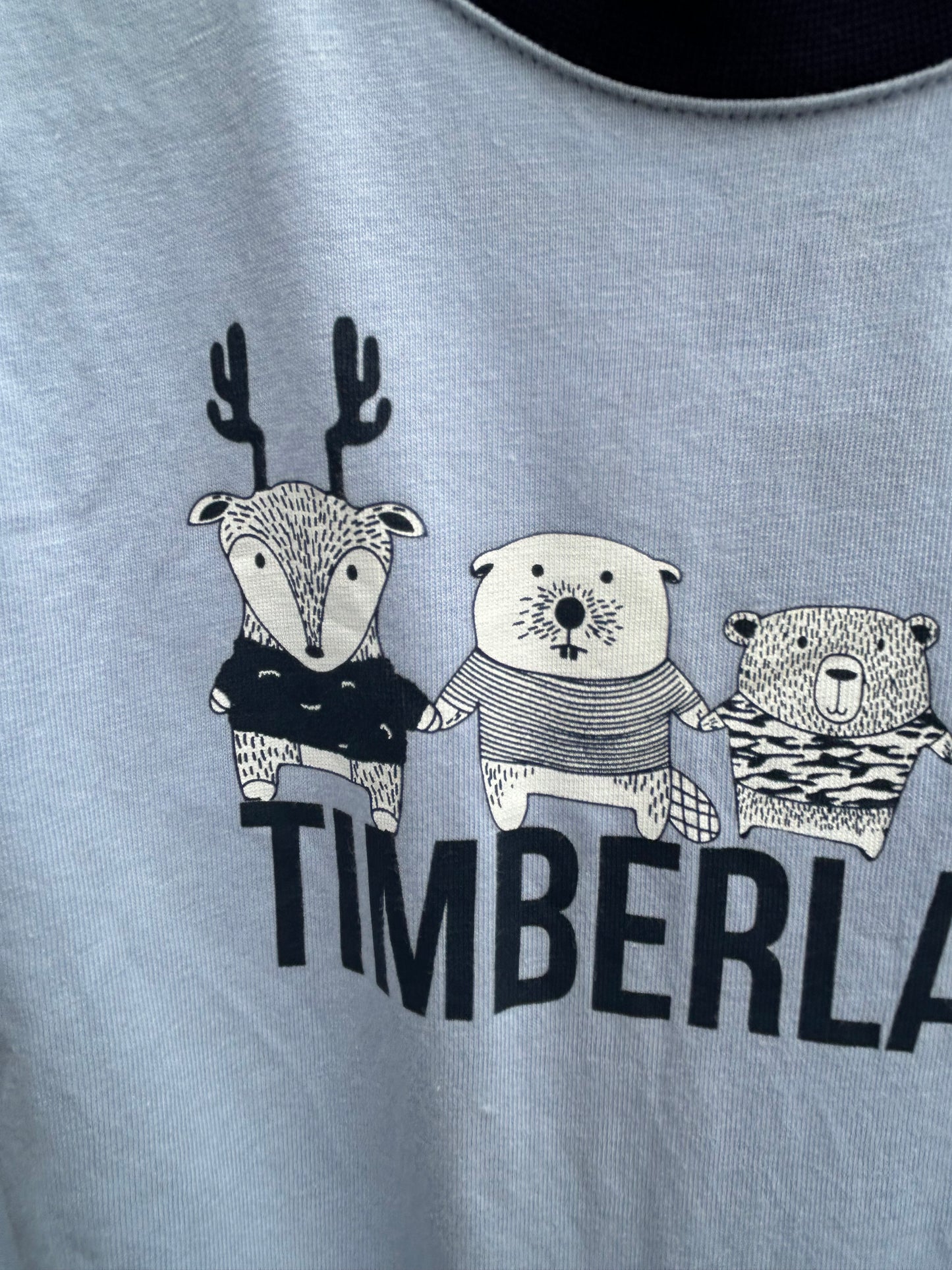 Woodland animals light blue top  12m (80cm)