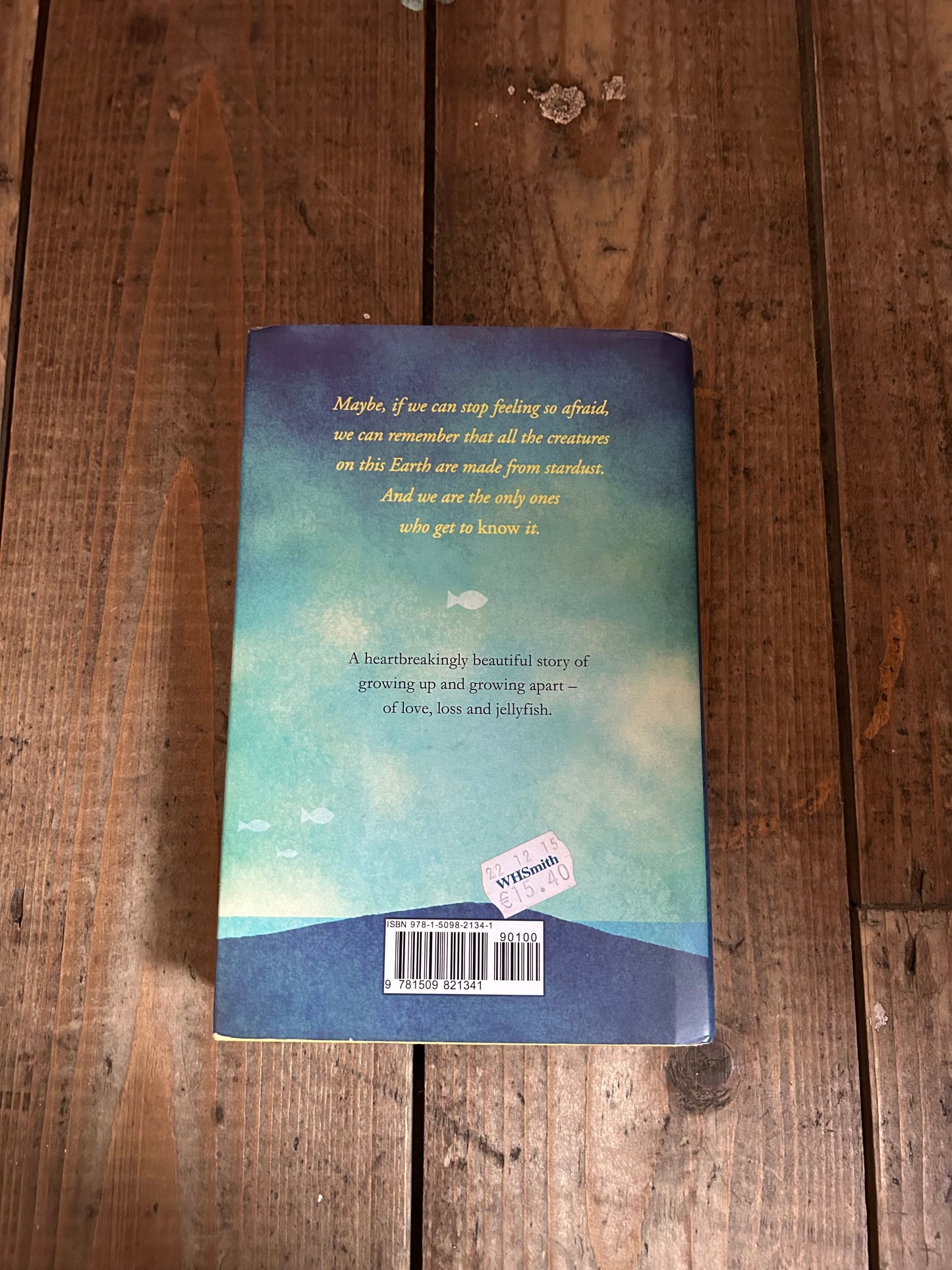 The thing about jellyfish by Ali Benjamin