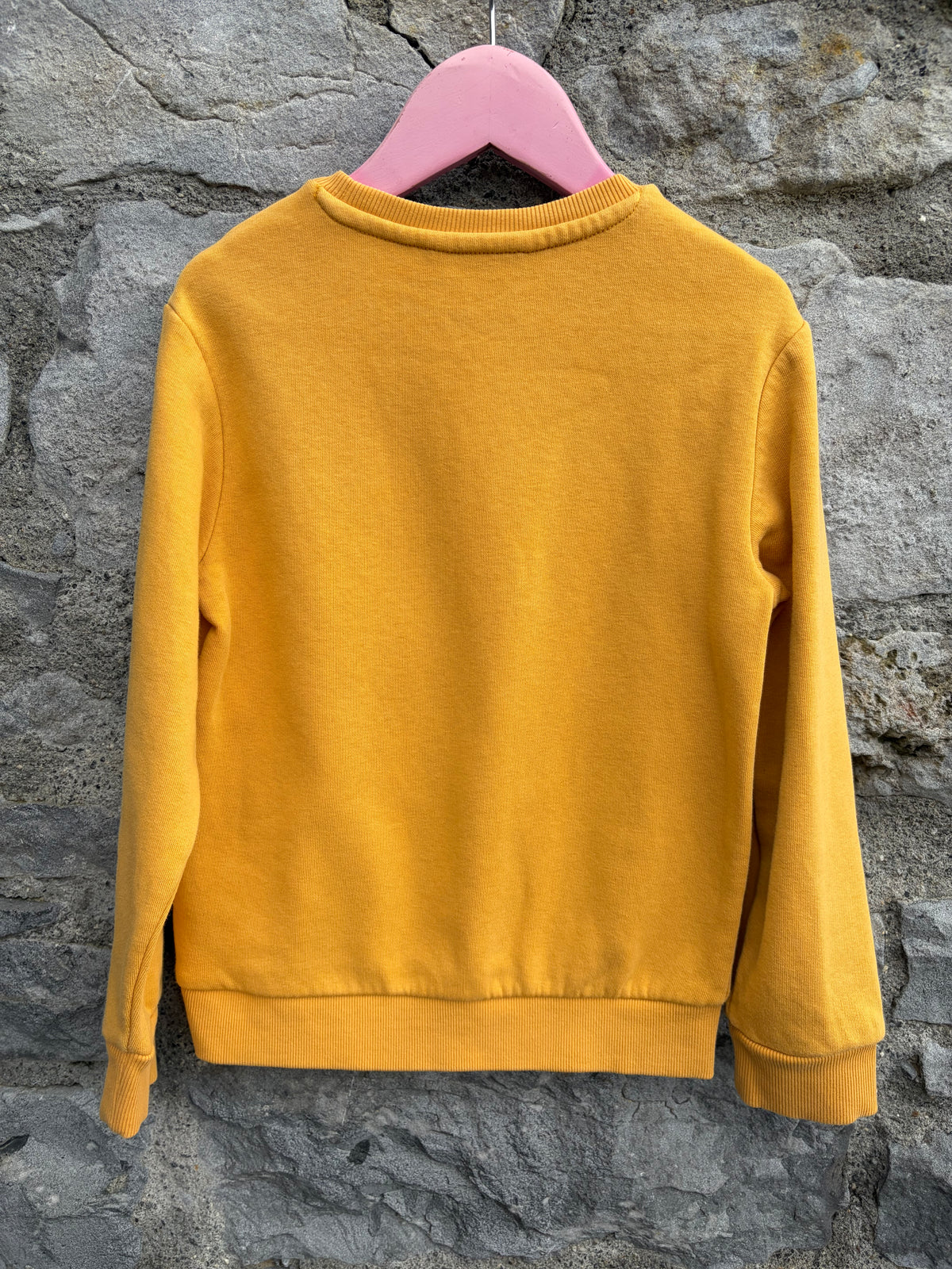 Go nuts mustard sweatshirt 5-6y (110-116cm)