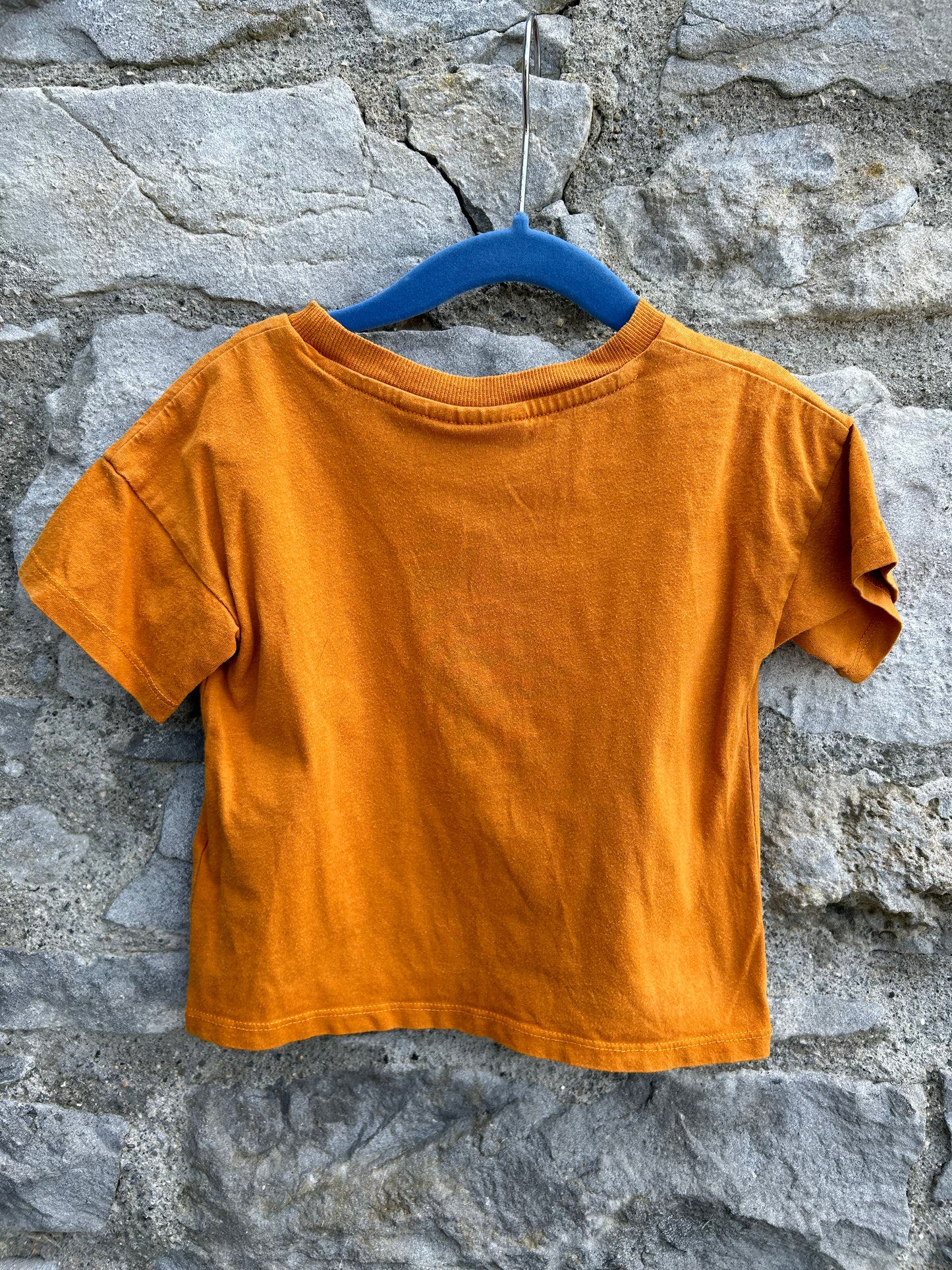 Crocodile orange boxy T-shirt  12-18m (80-86cm)