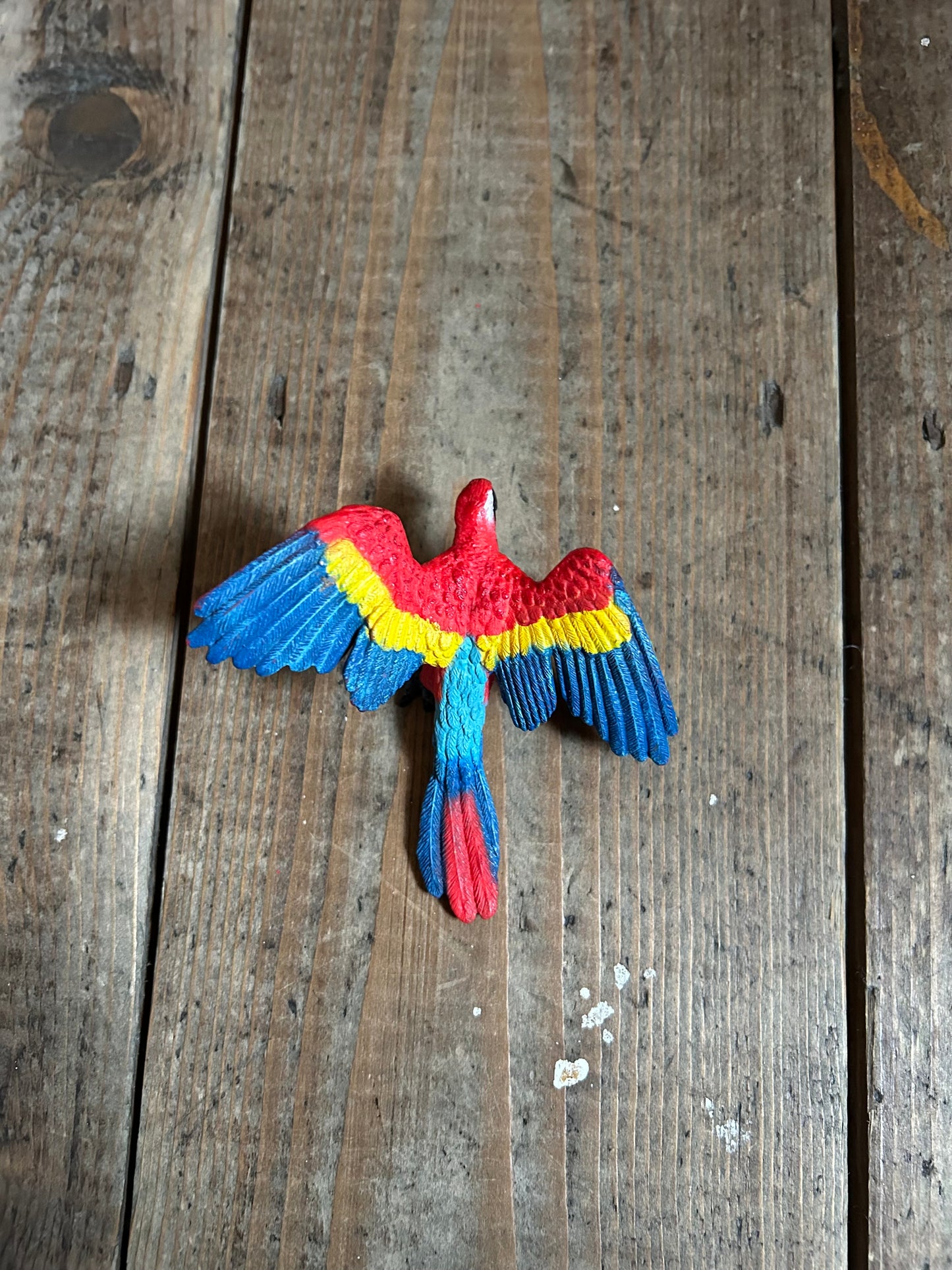 Parrot Macaw