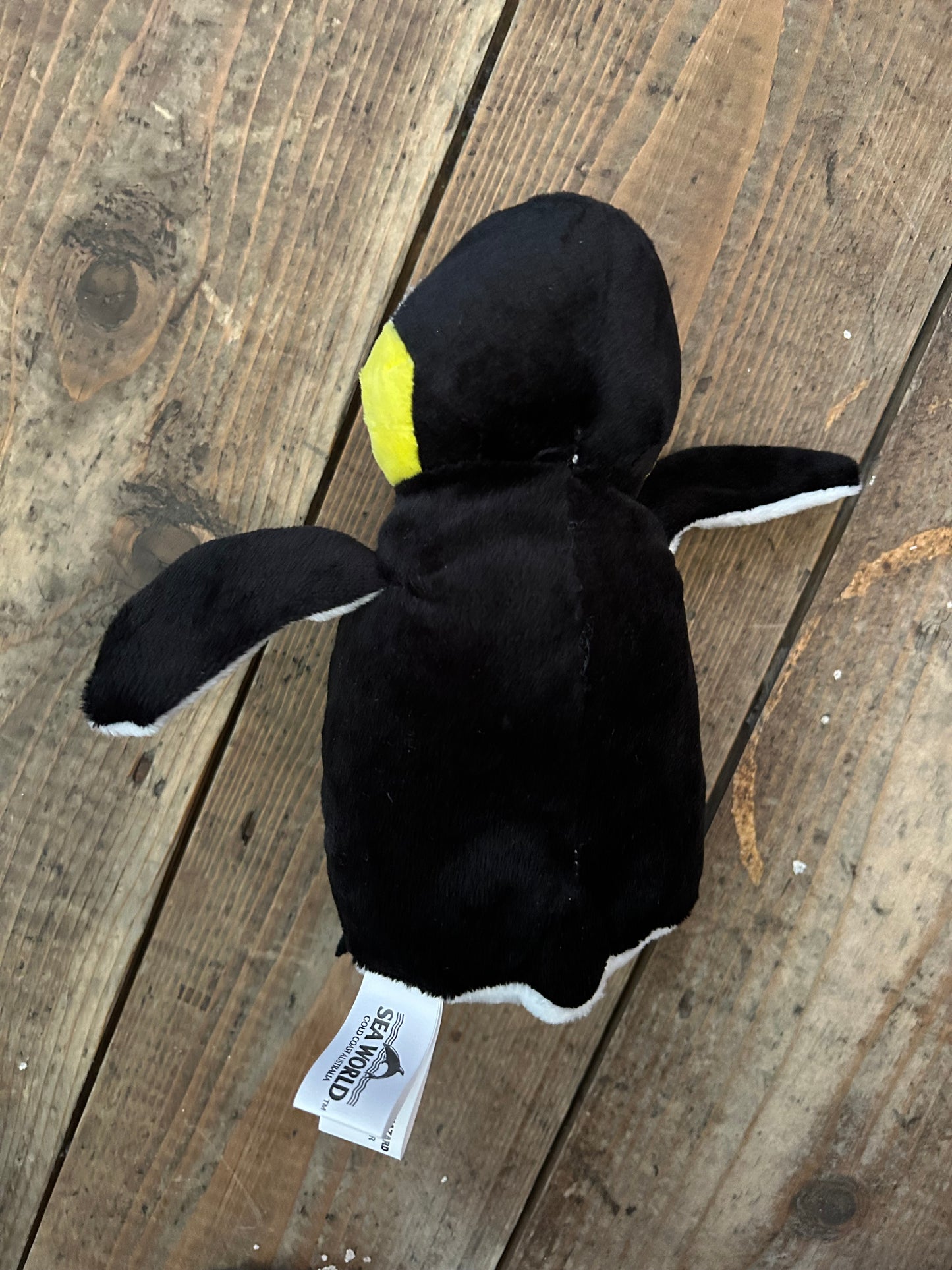 Penguin