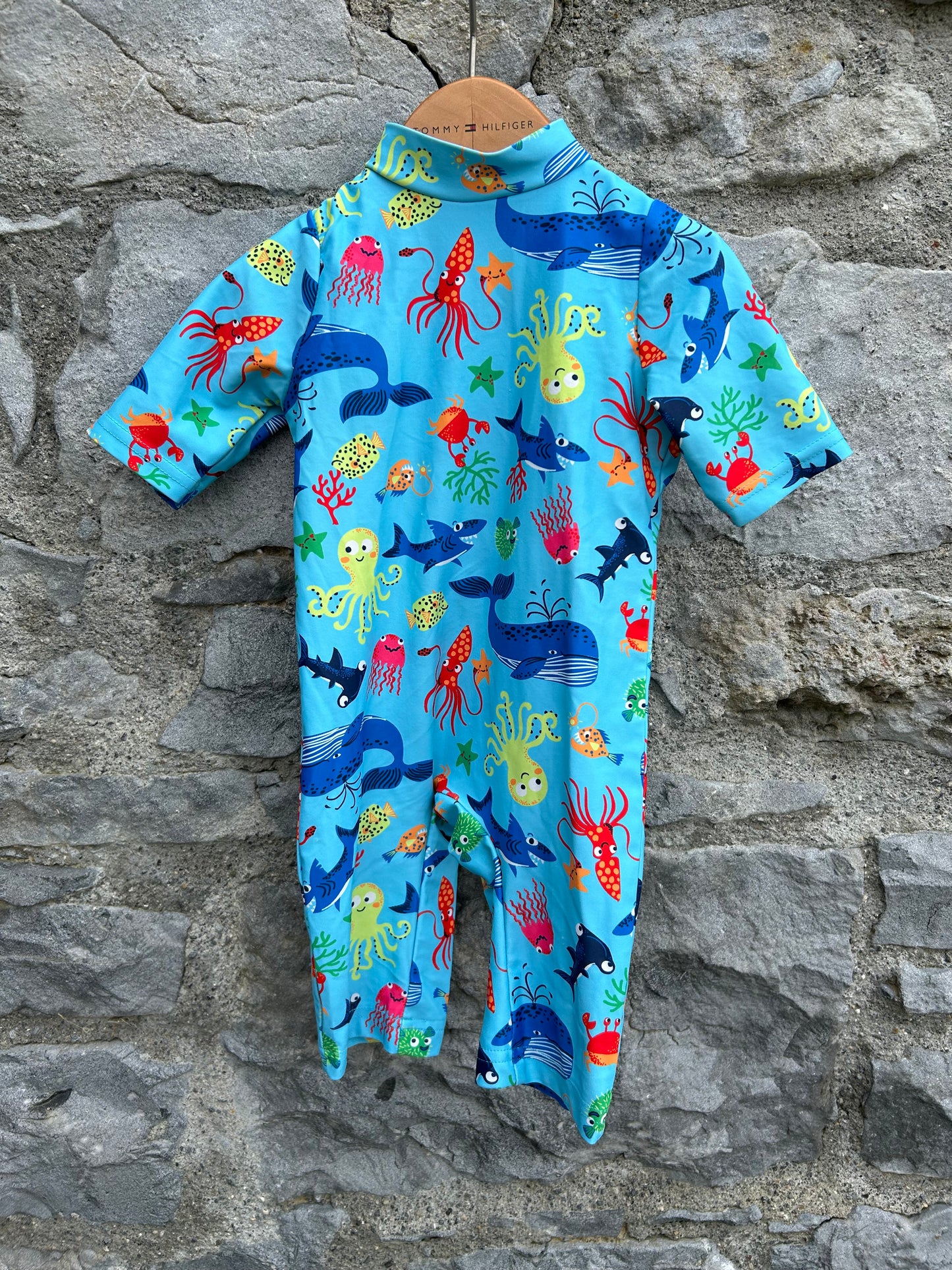 Under the sea wetsuit   9-12m (74-80cm)