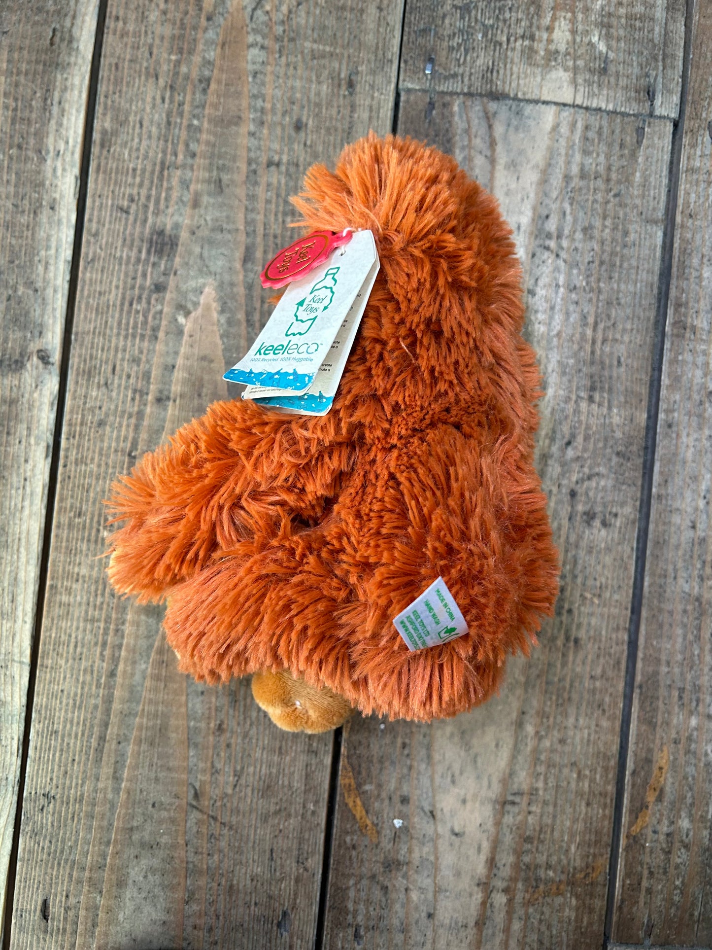 Orang-outan